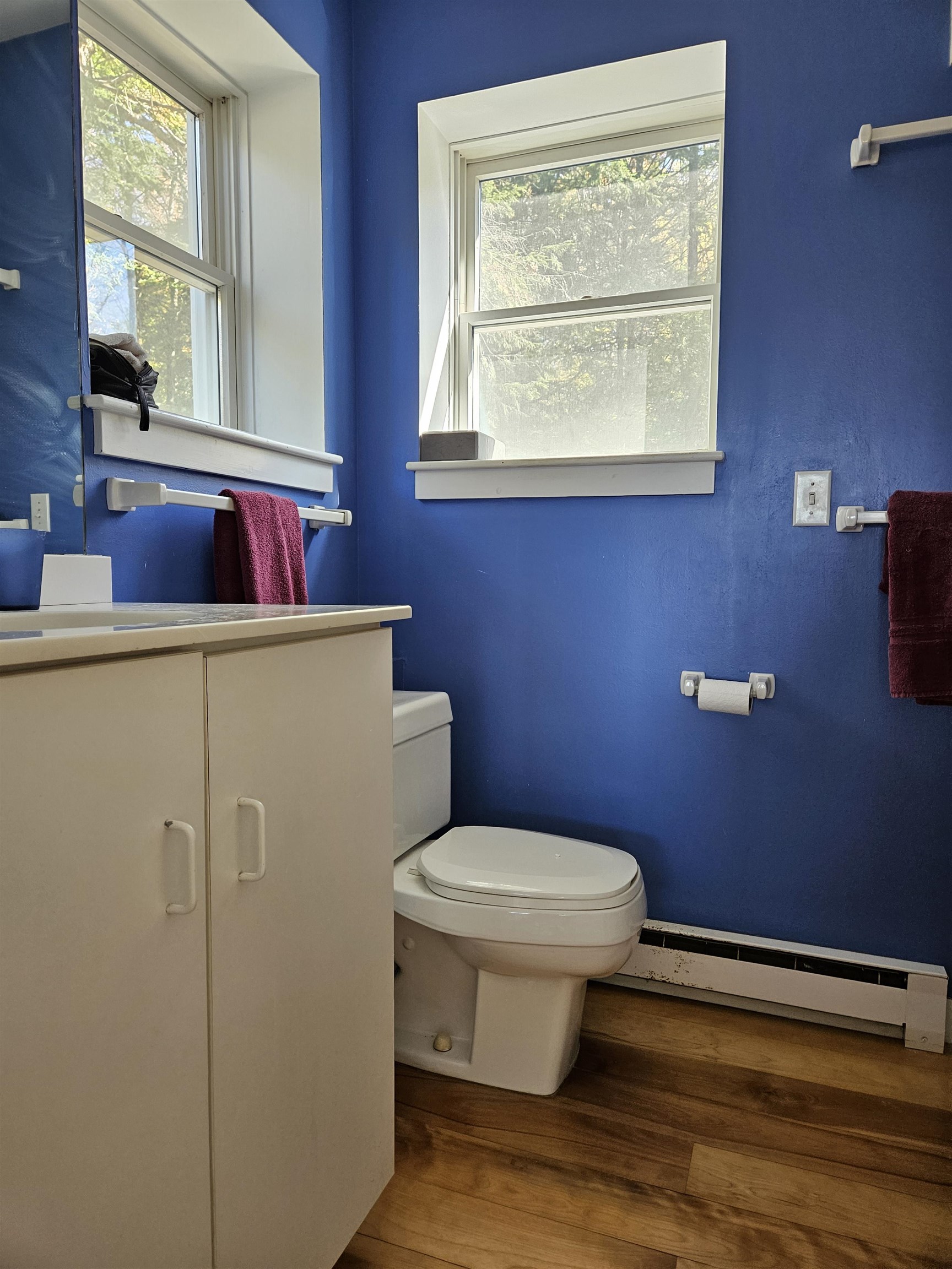 One of two baths for master bedroom