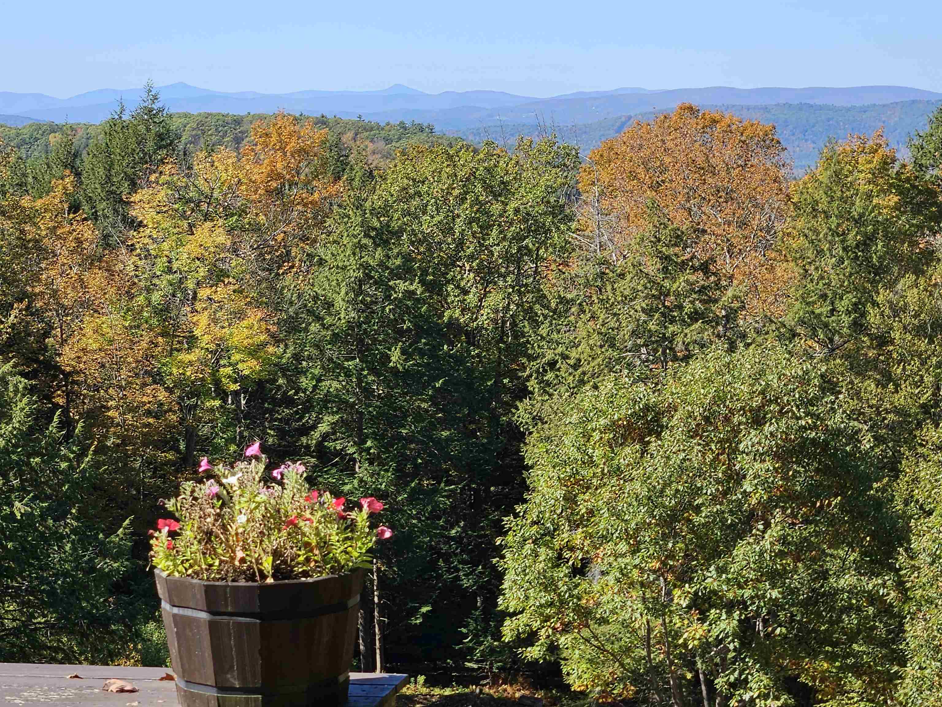 Views from rear deck