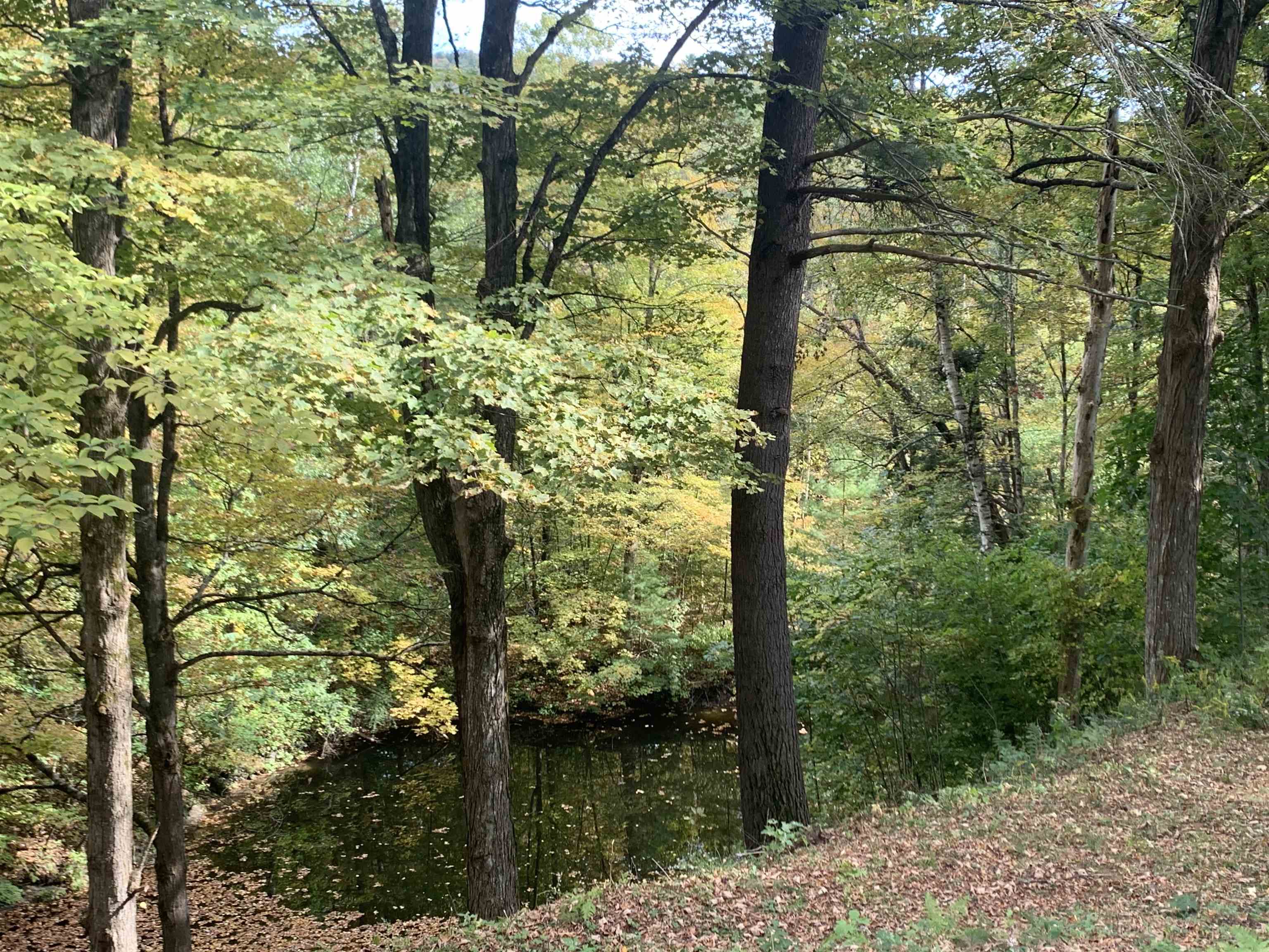 Homes for sale in Castleton, VT | 152 Pencil Mill Rd, Castleton, VT 05735 | MLS# 5064319