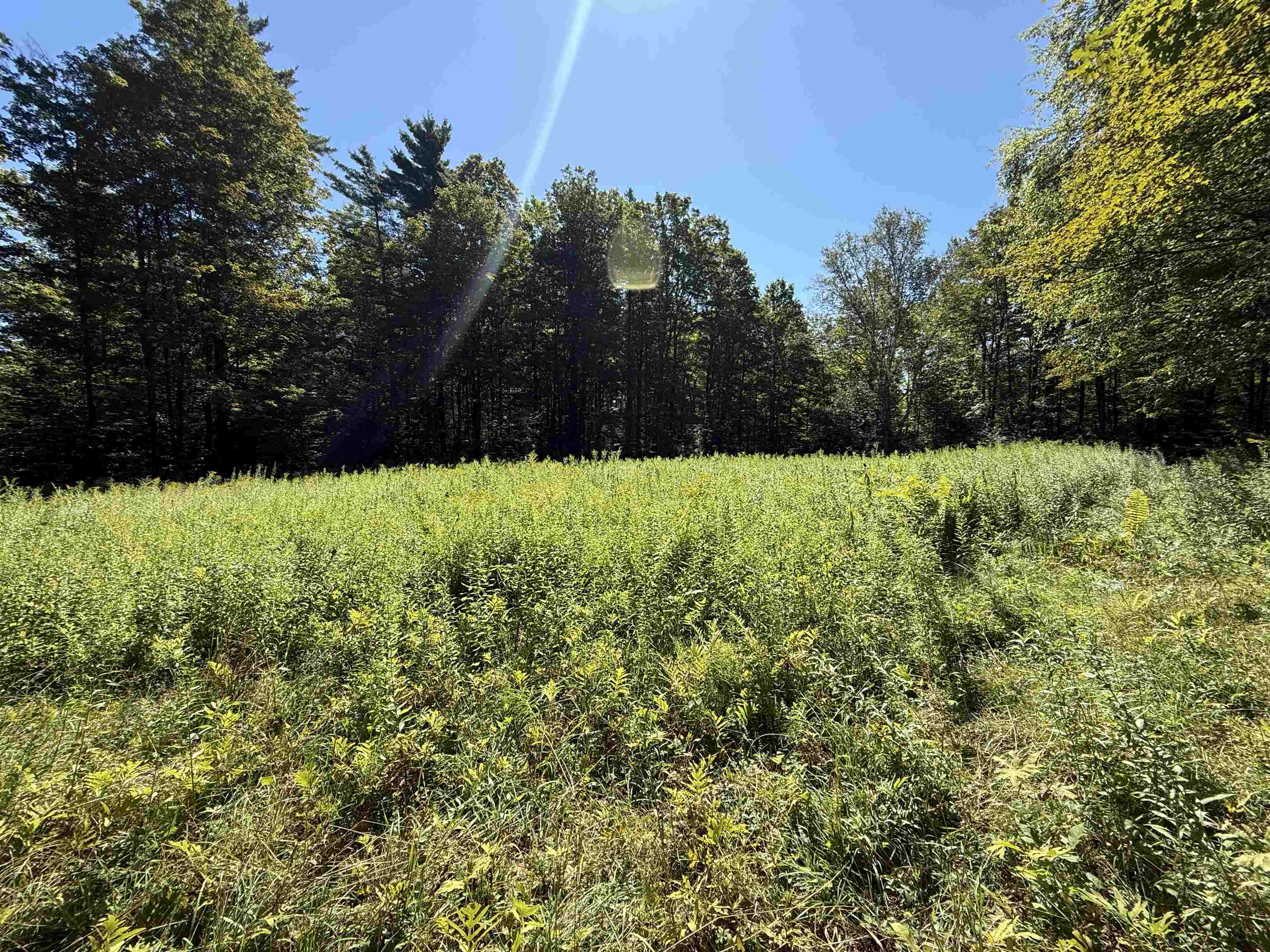Open Meadows