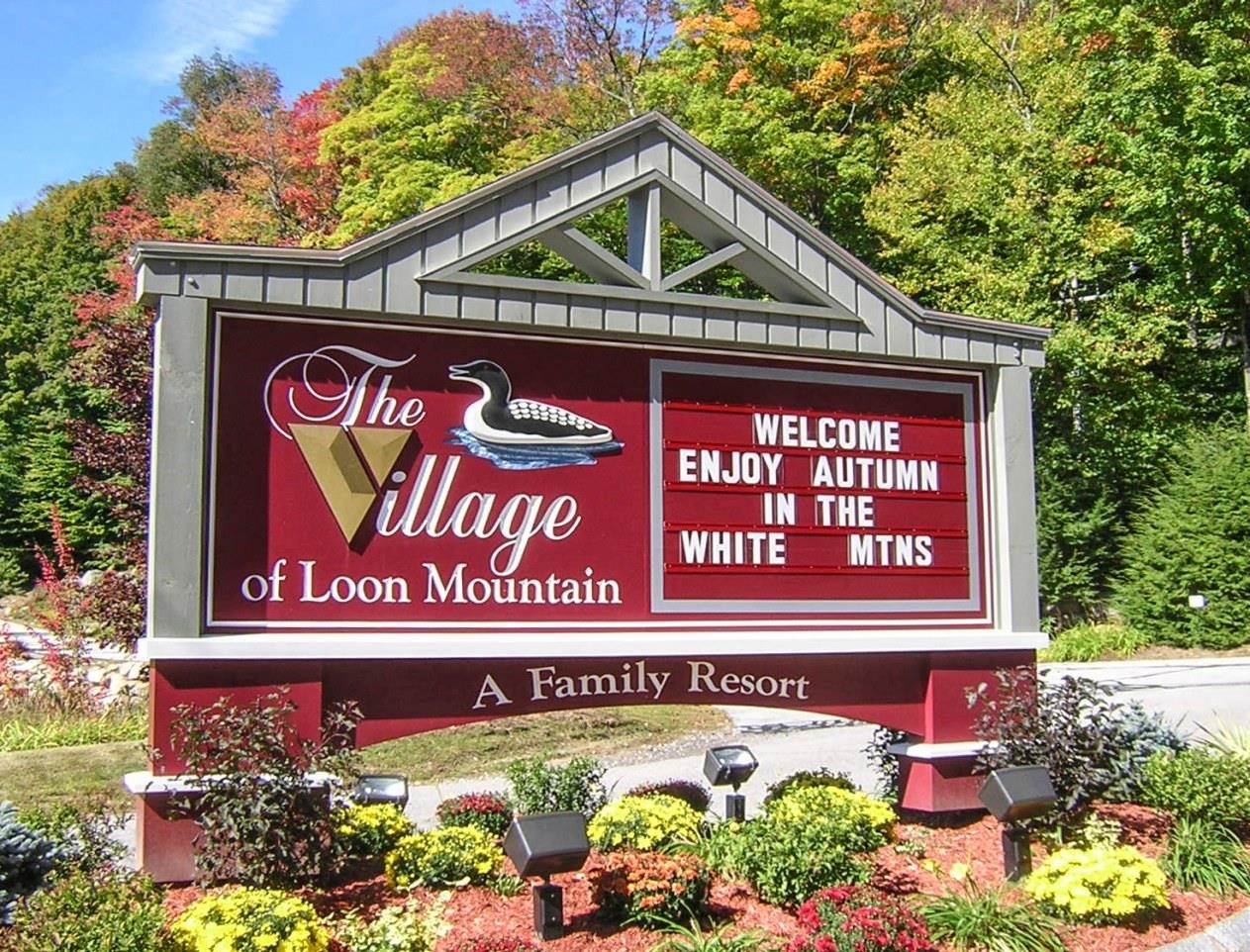 LINCOLN NH Condos for sale