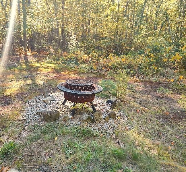 Photo 36 of 49