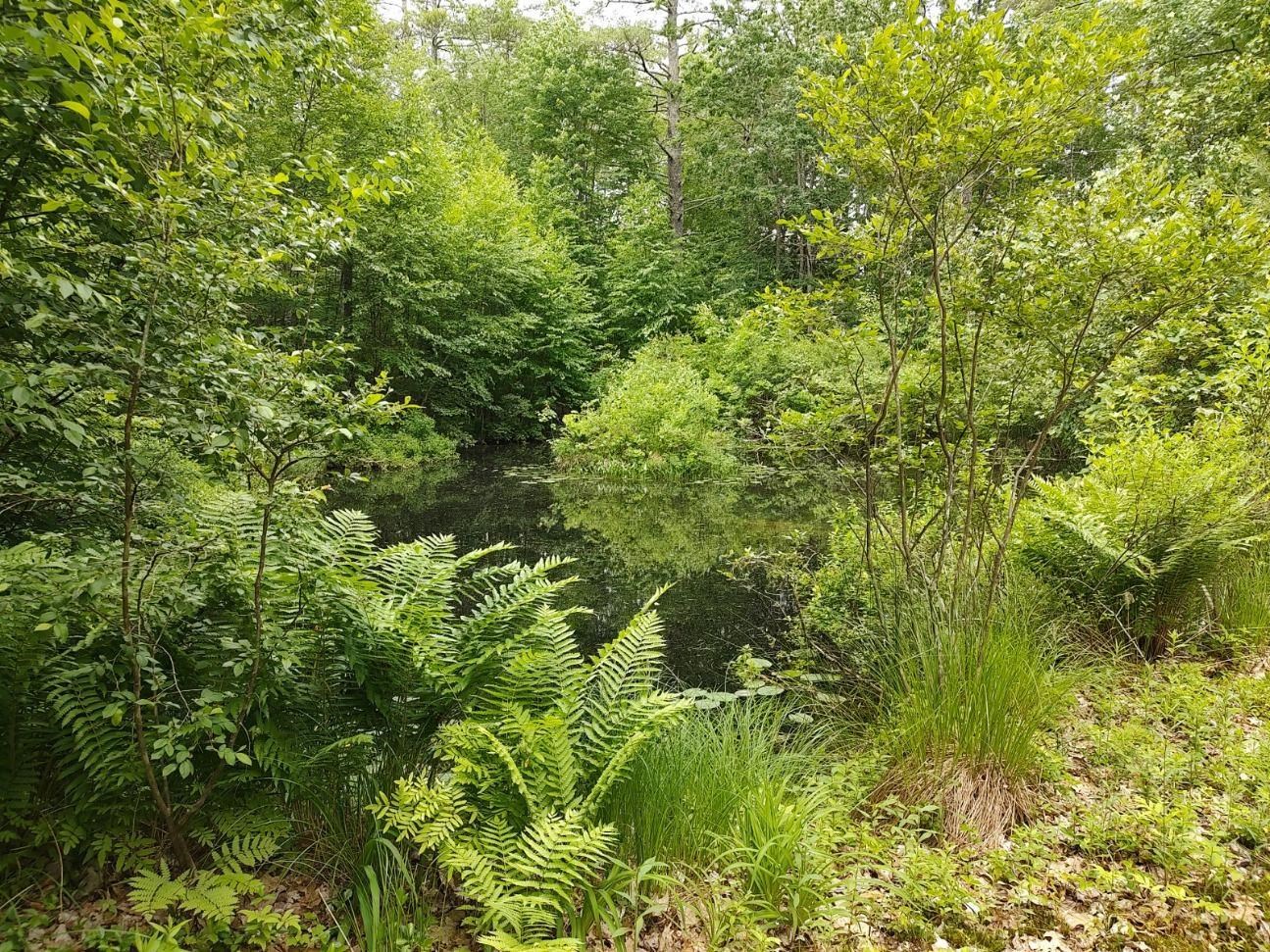 Photo 42 of 49