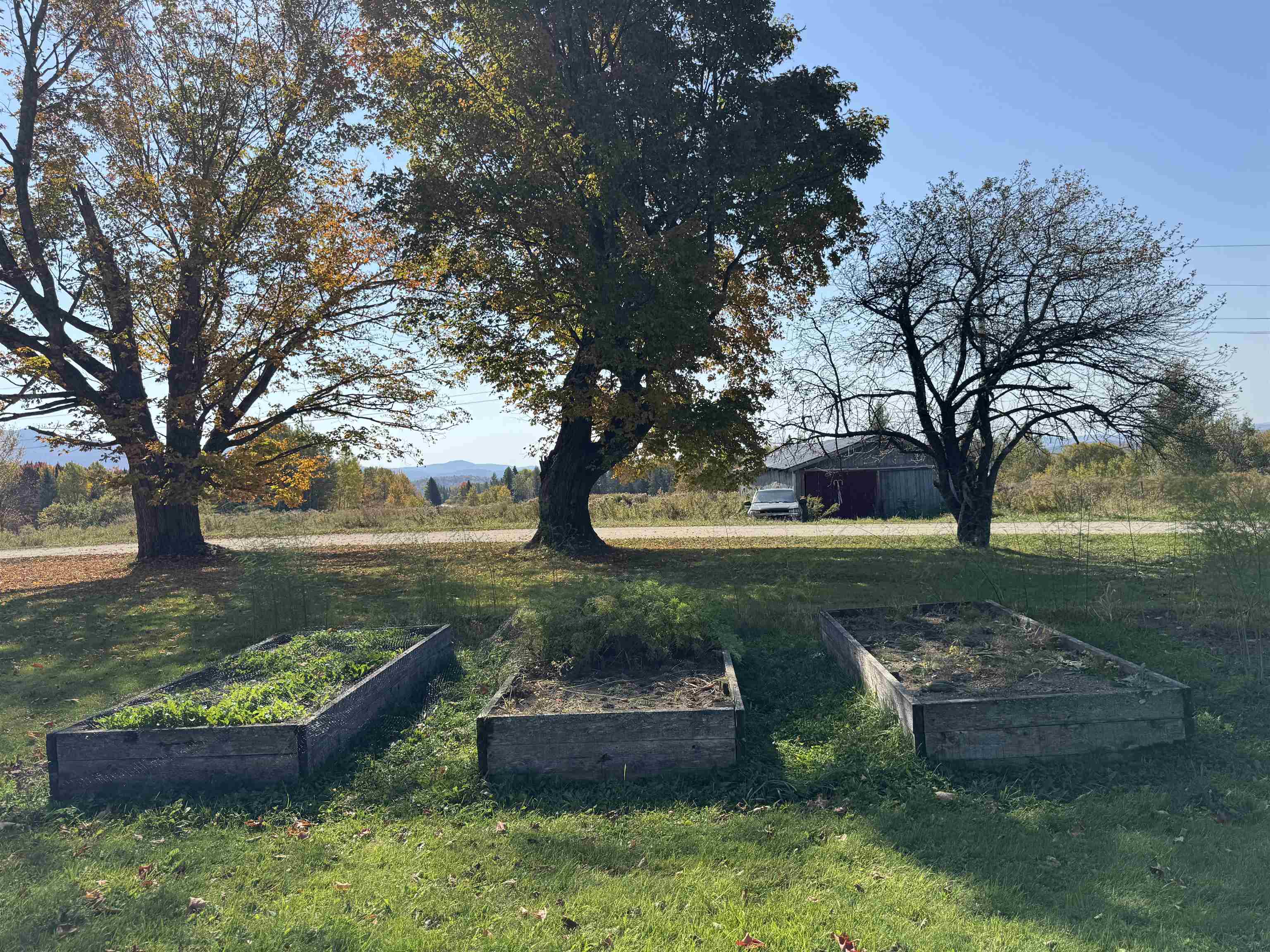 Raised Beds