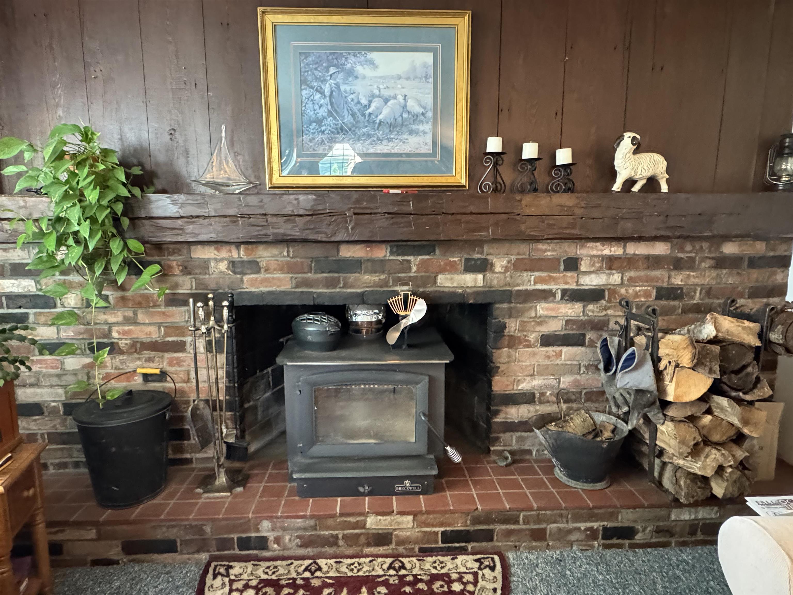 Keep As A wood Insert or Wood Burning Fireplace