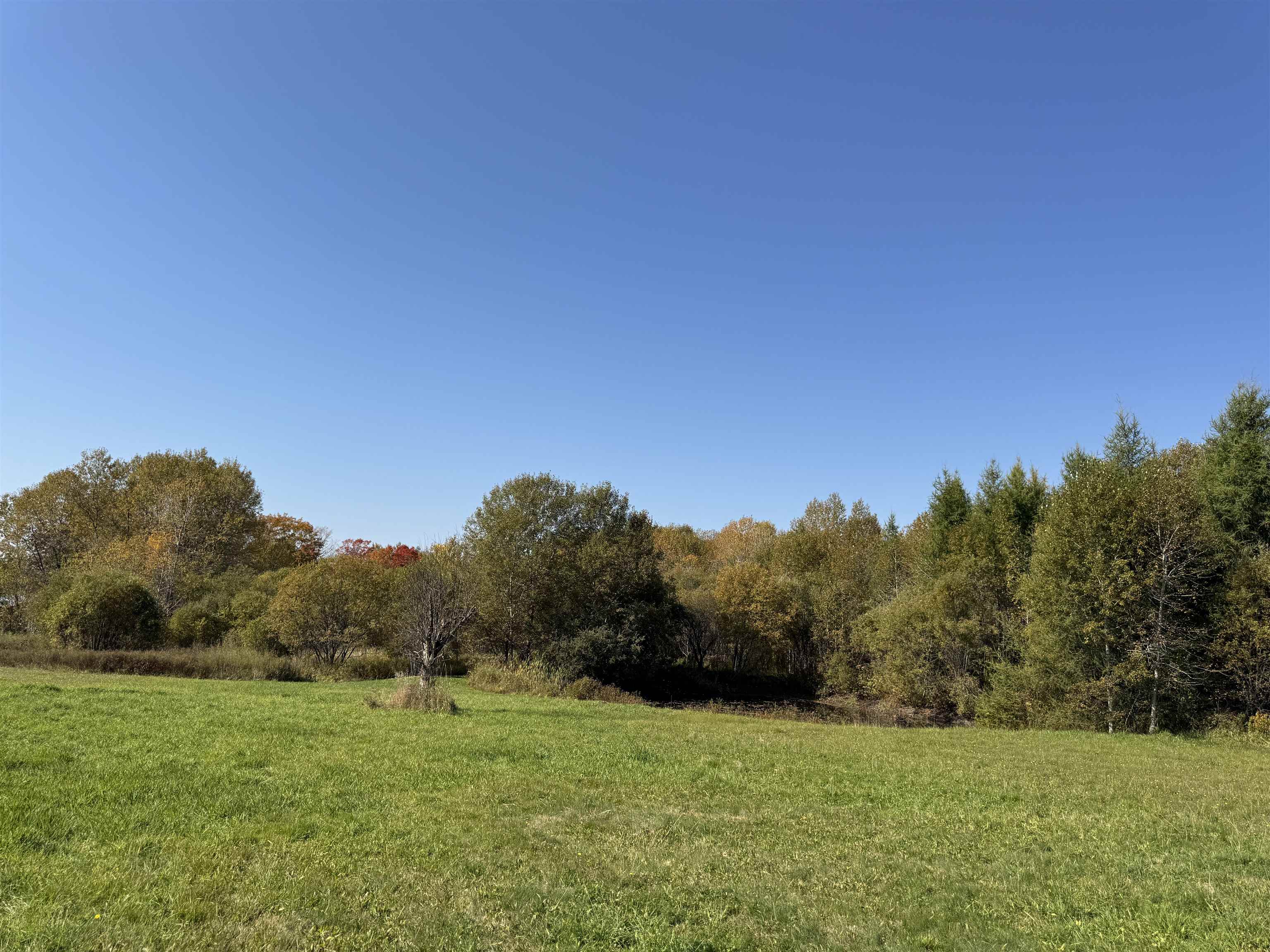 Homesteading Possibilities