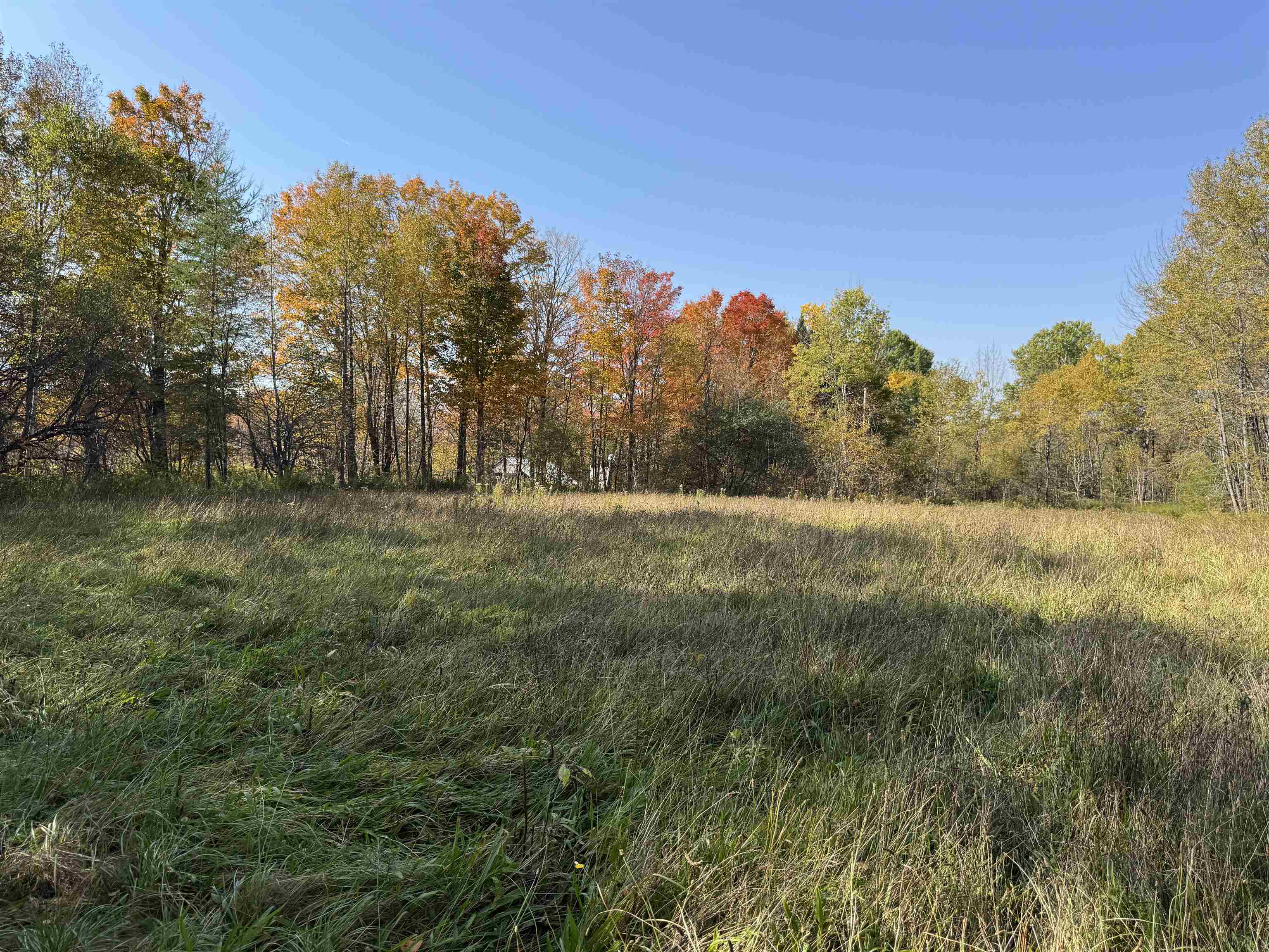 Pasture or Hay Field