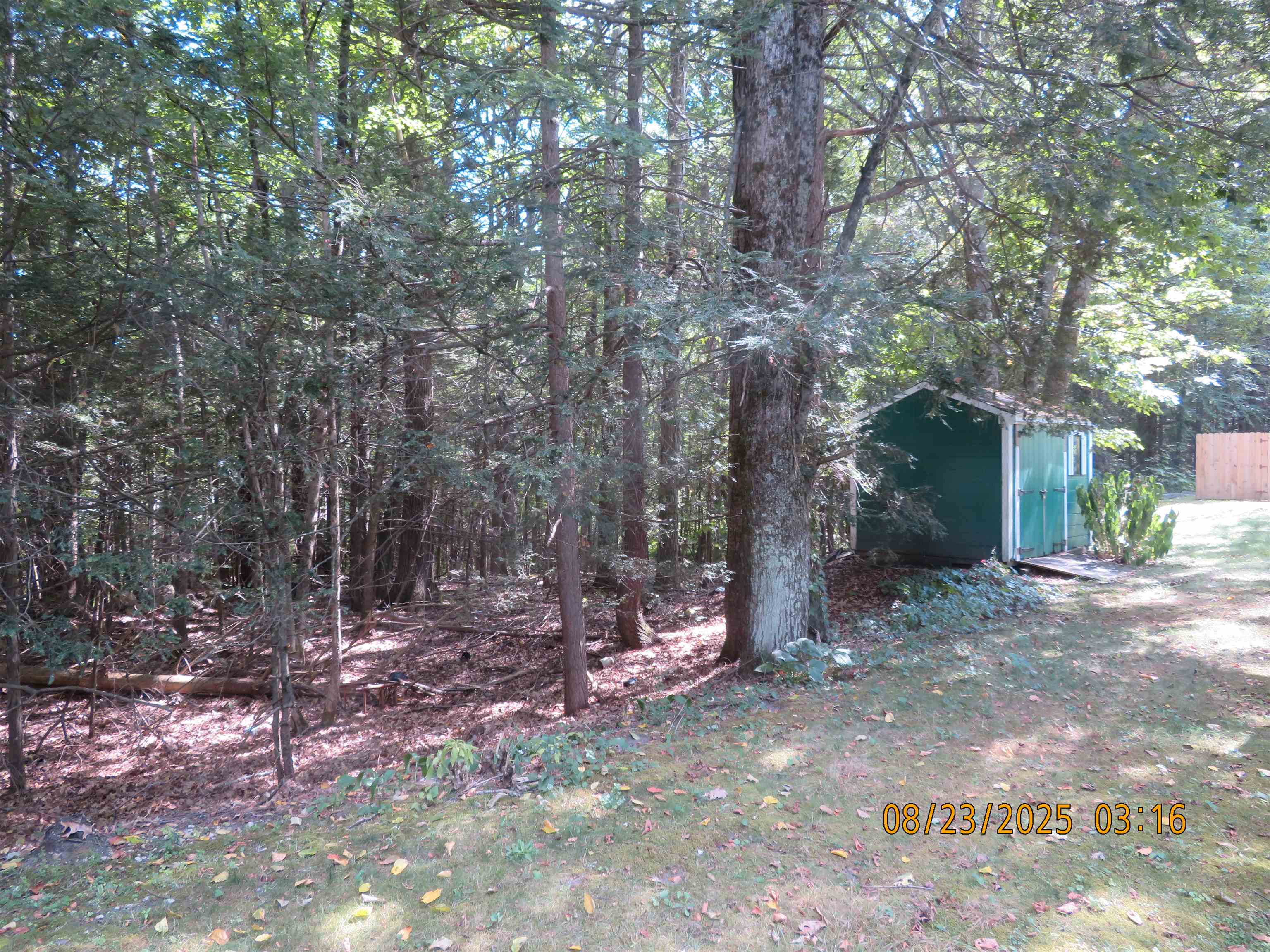 Photo 17 of 23