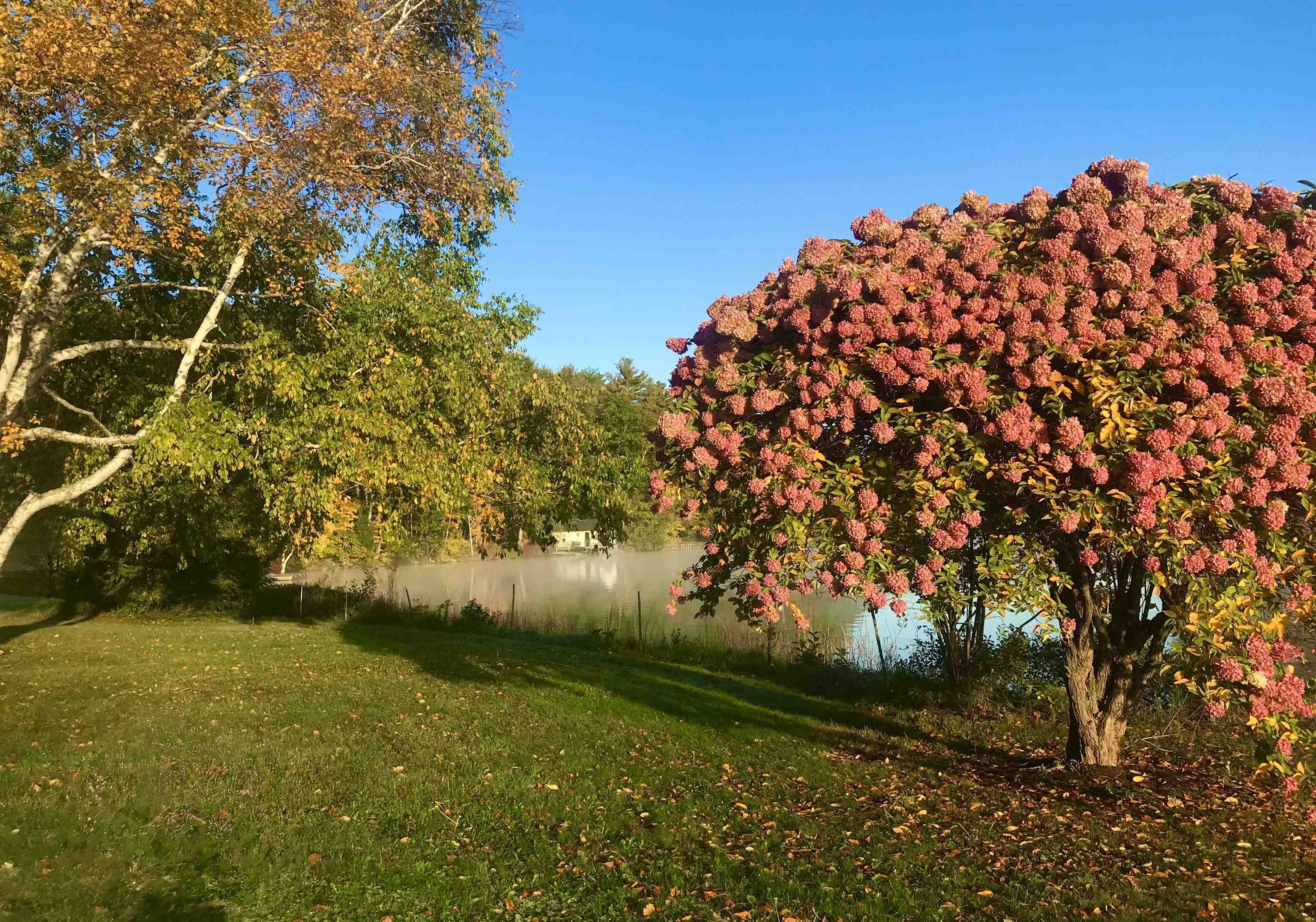 Pretty in Fall!