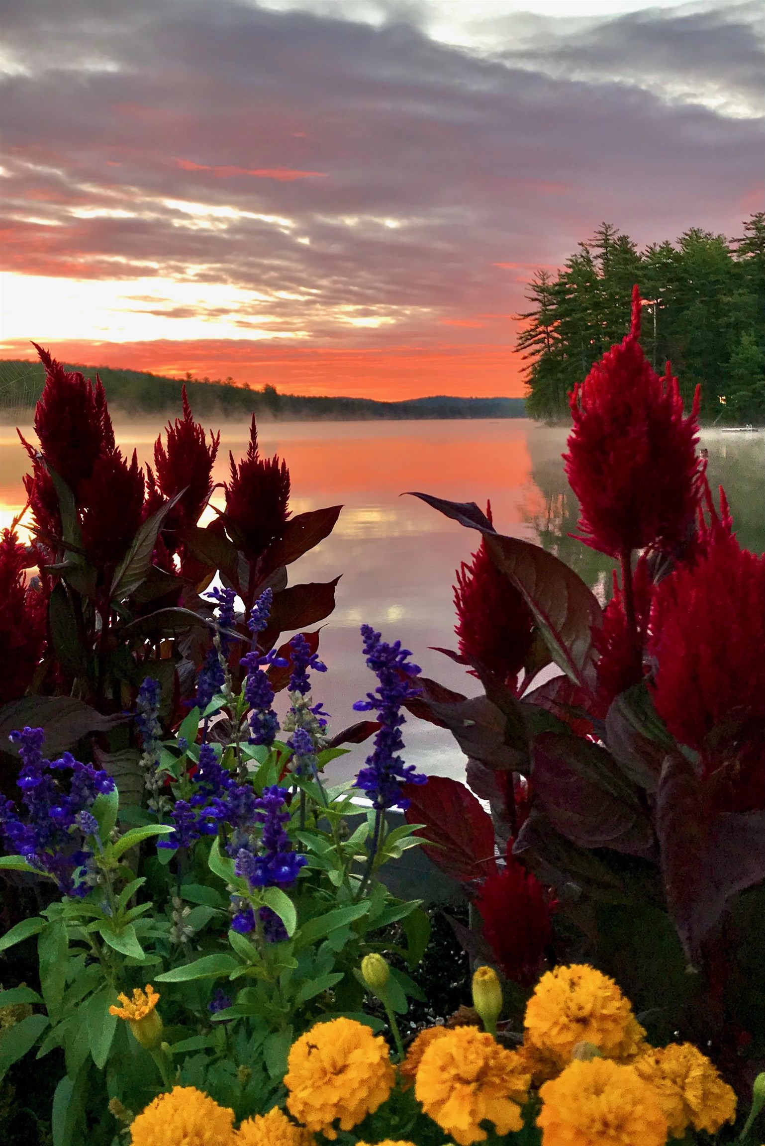 Summer sunrise