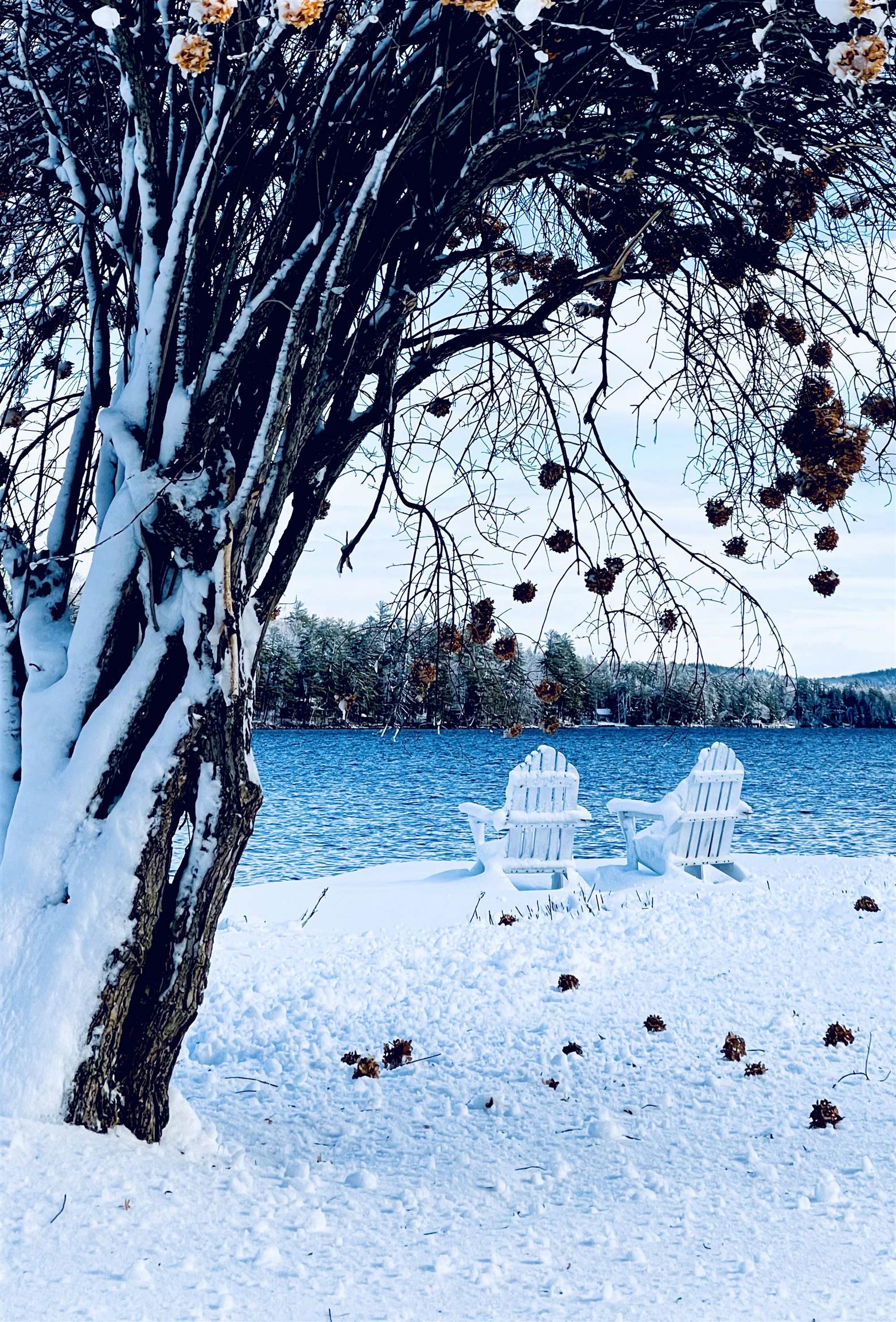 Truly a Winter Wonderland!