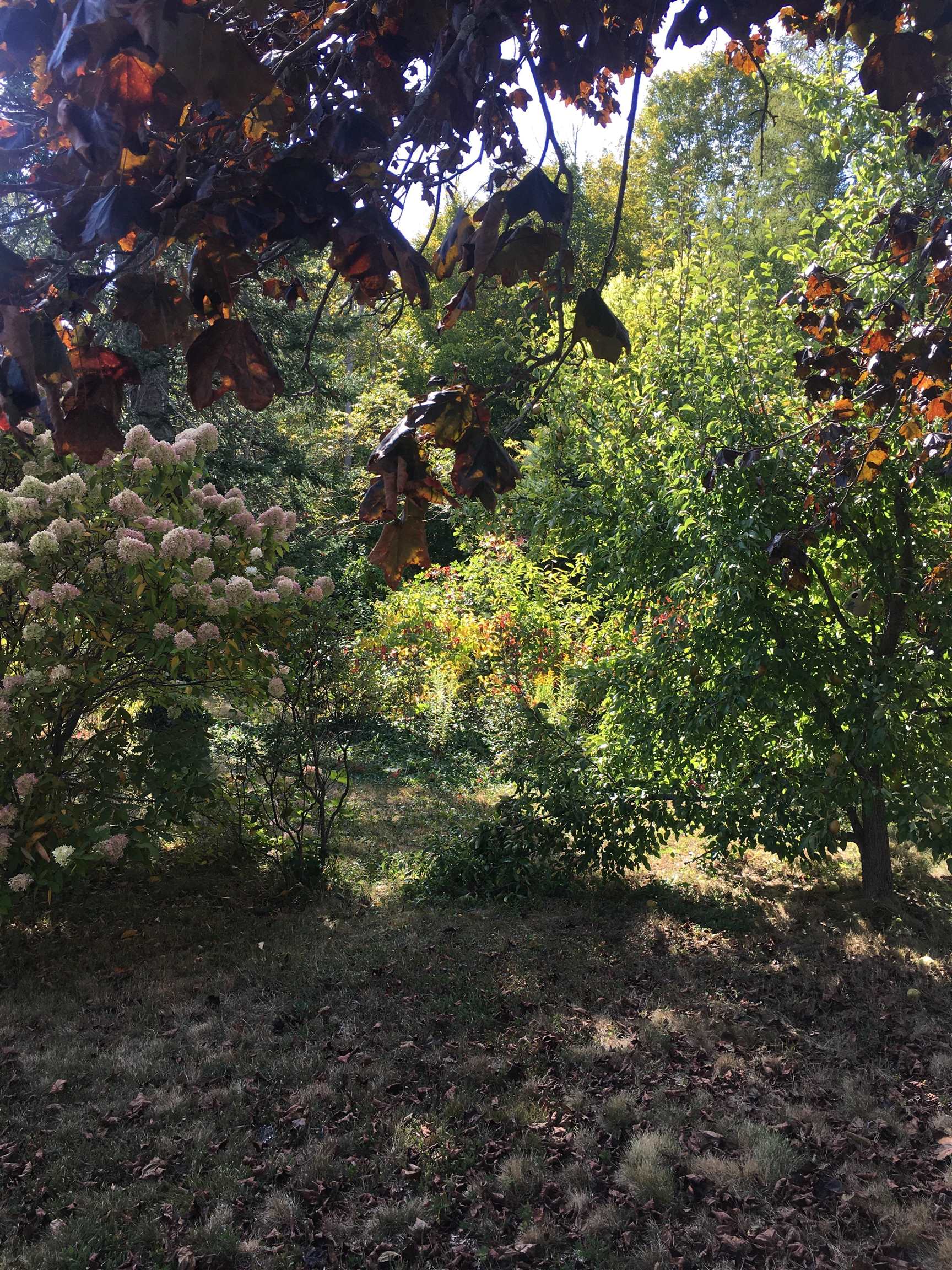 MLS #5064684 image #7