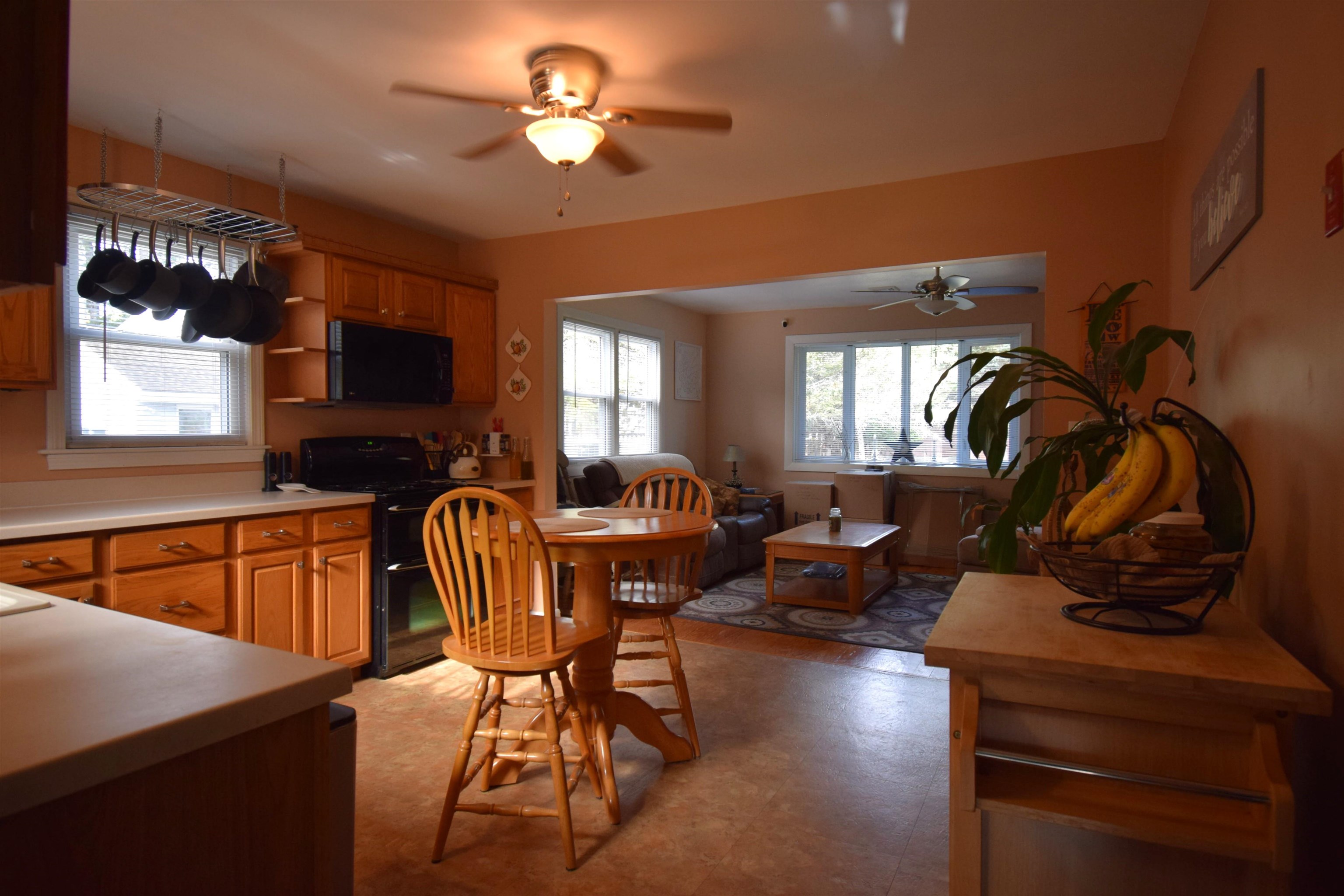 Photo 11 of 46