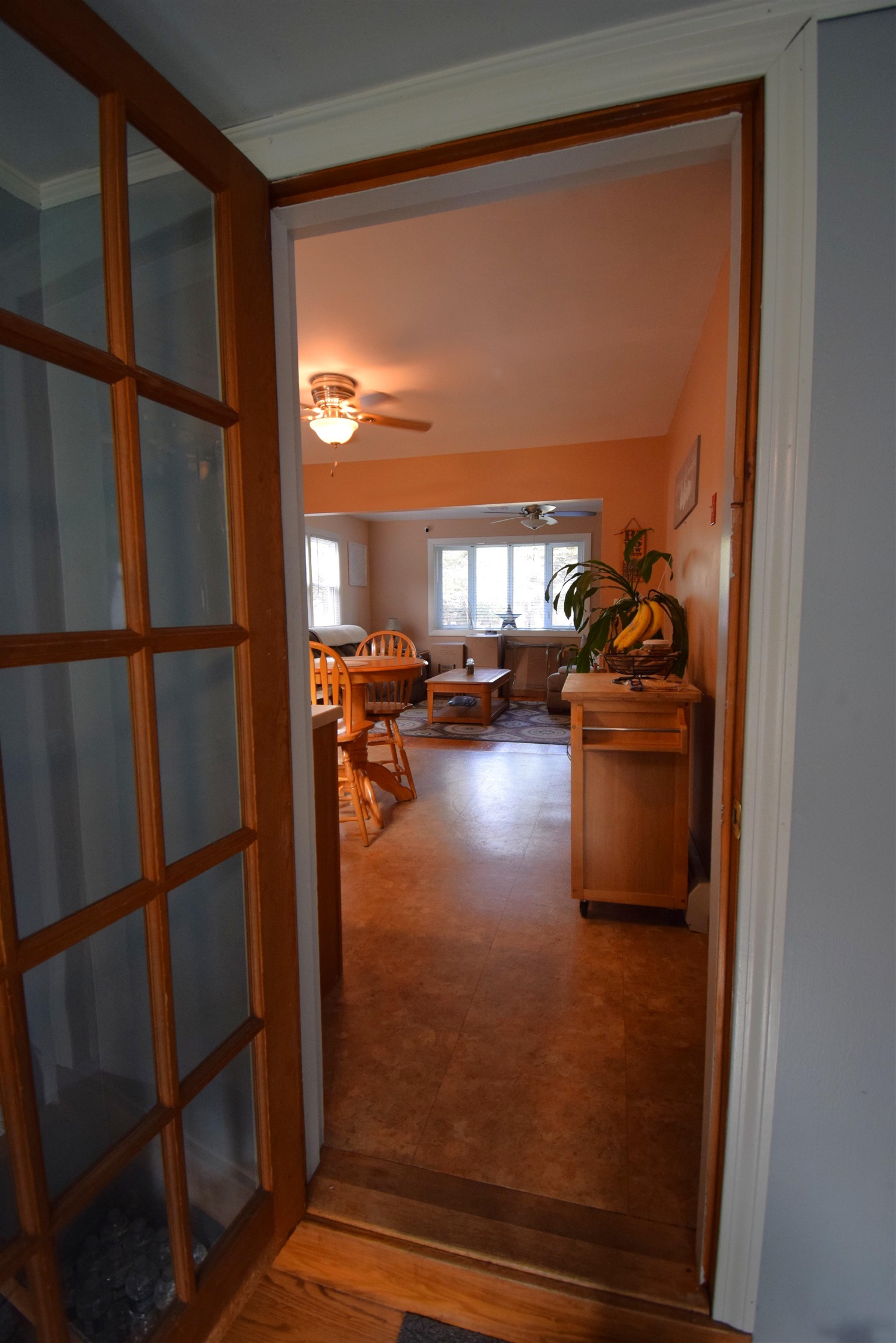 Photo 10 of 46