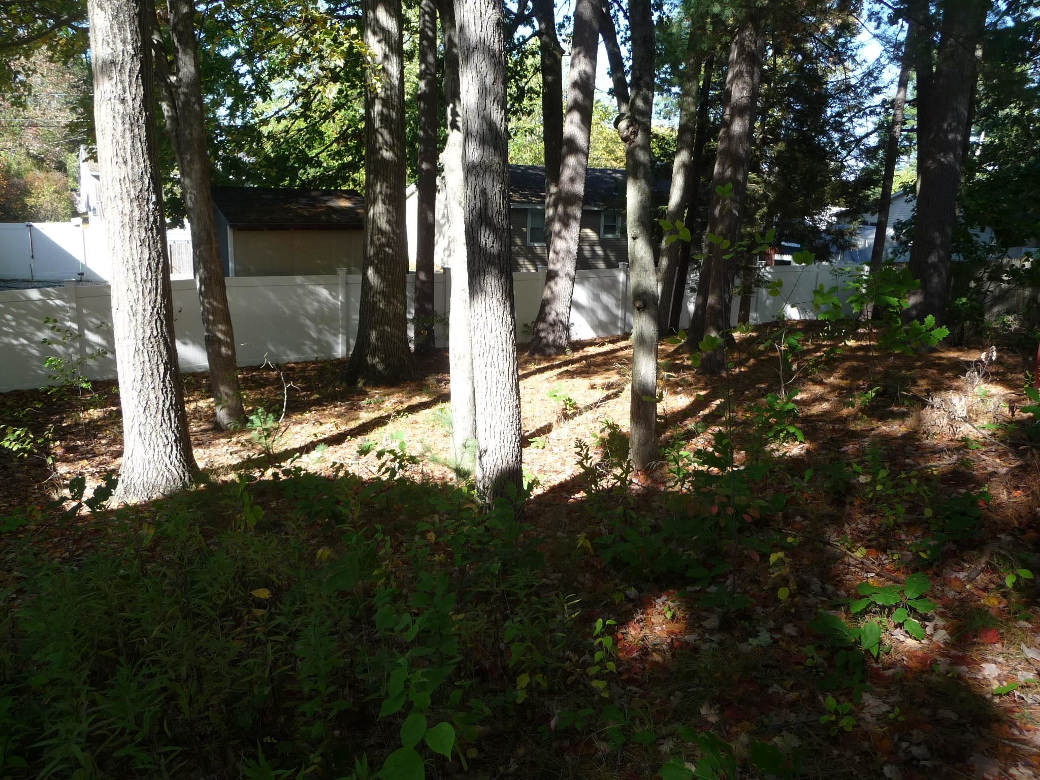 Photo 25 of 27