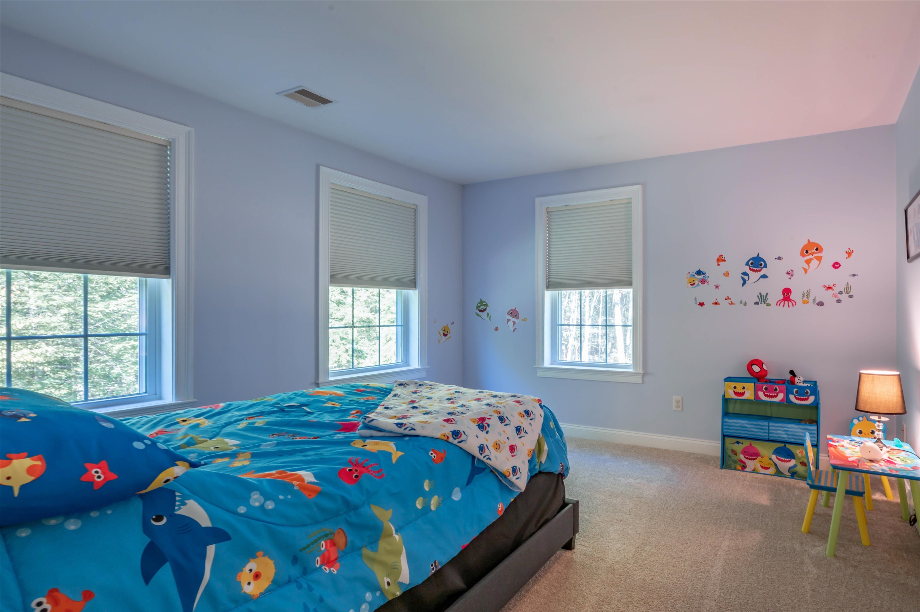 MLS #5064988 image #22