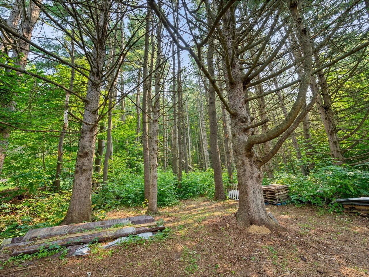 MLS #5065044 image #46