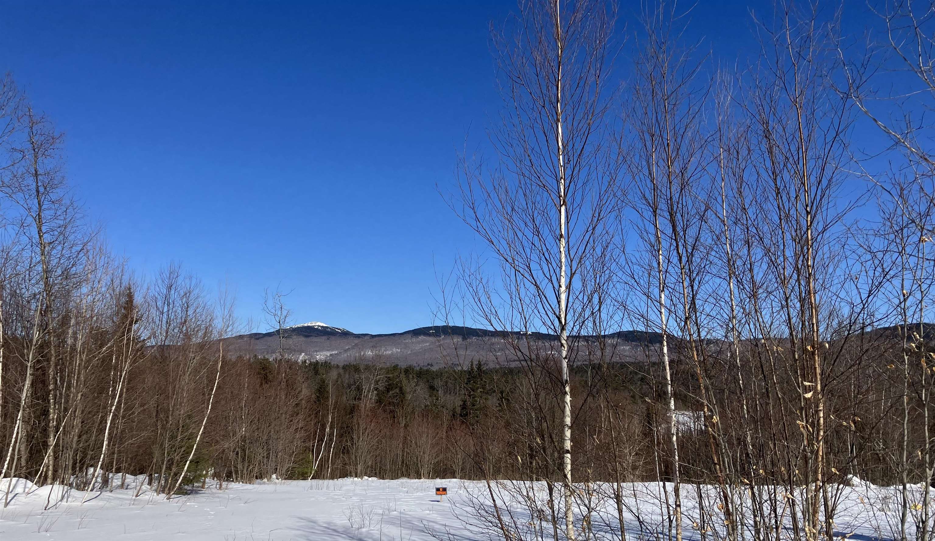 MLS #5065095 image #7