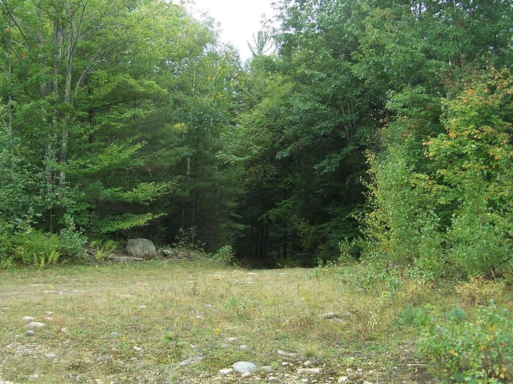 MLS #5065244 image #10