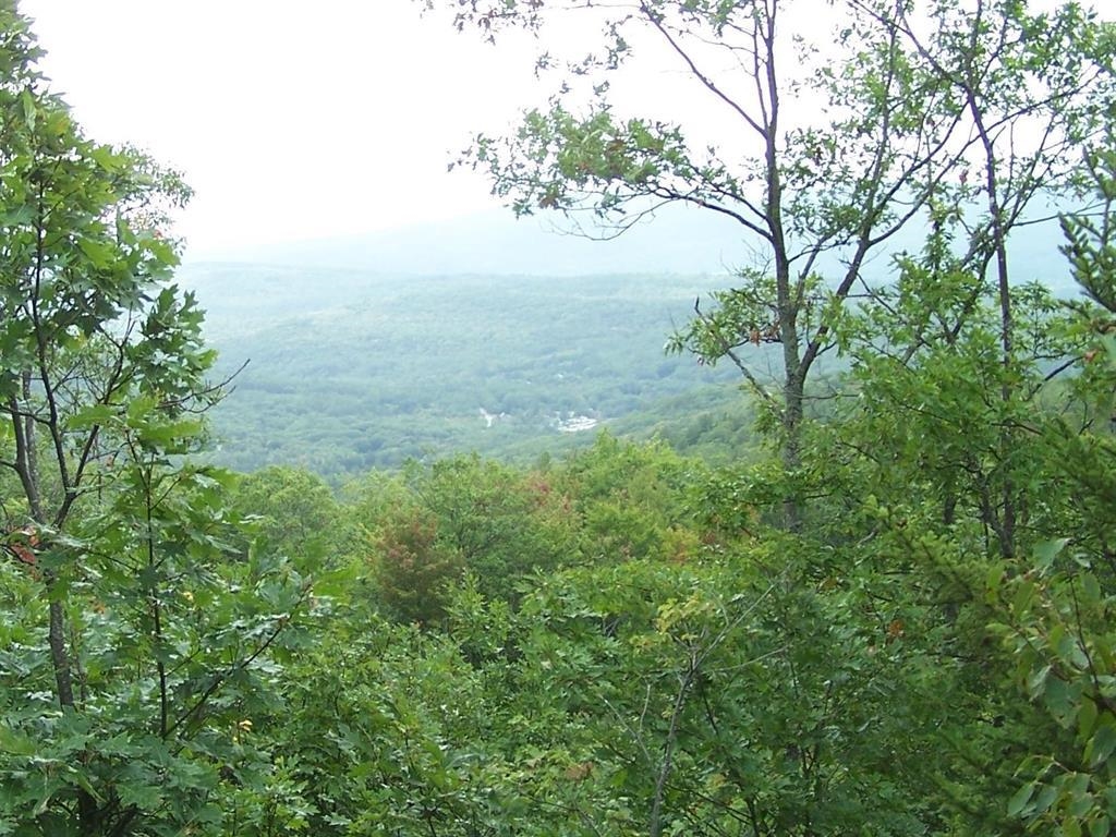 MLS #5065244 image #11