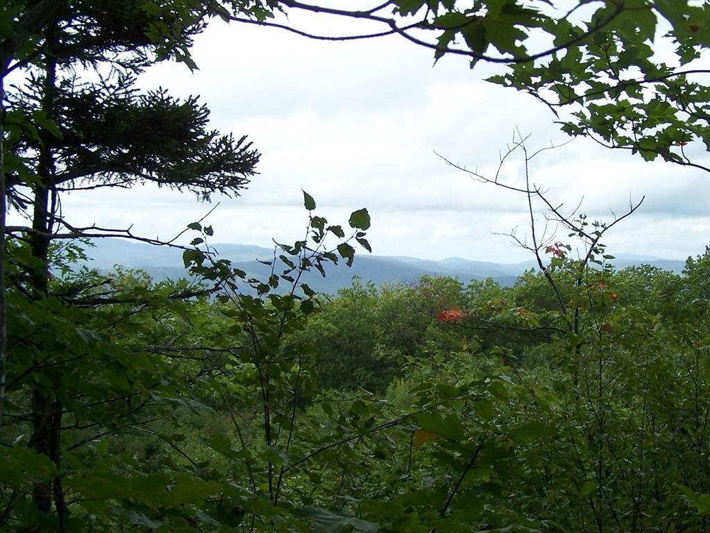 MLS #5065244 image #13