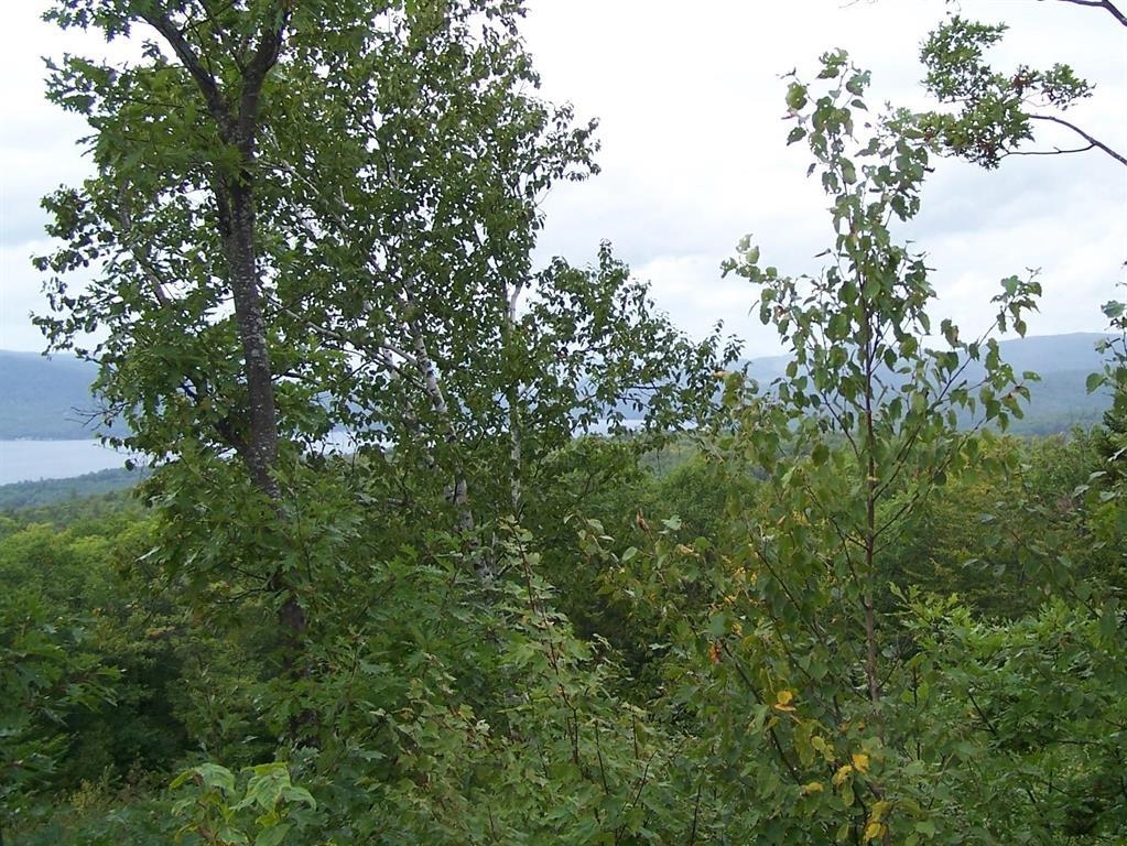 MLS #5065244 image #5