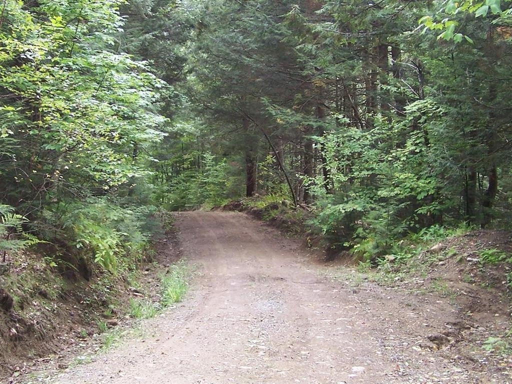 MLS #5065244 image #7