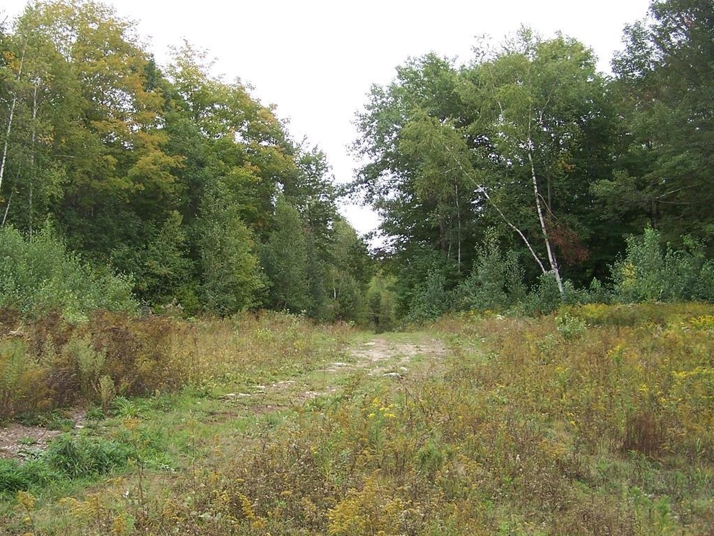 MLS #5065244 image #8