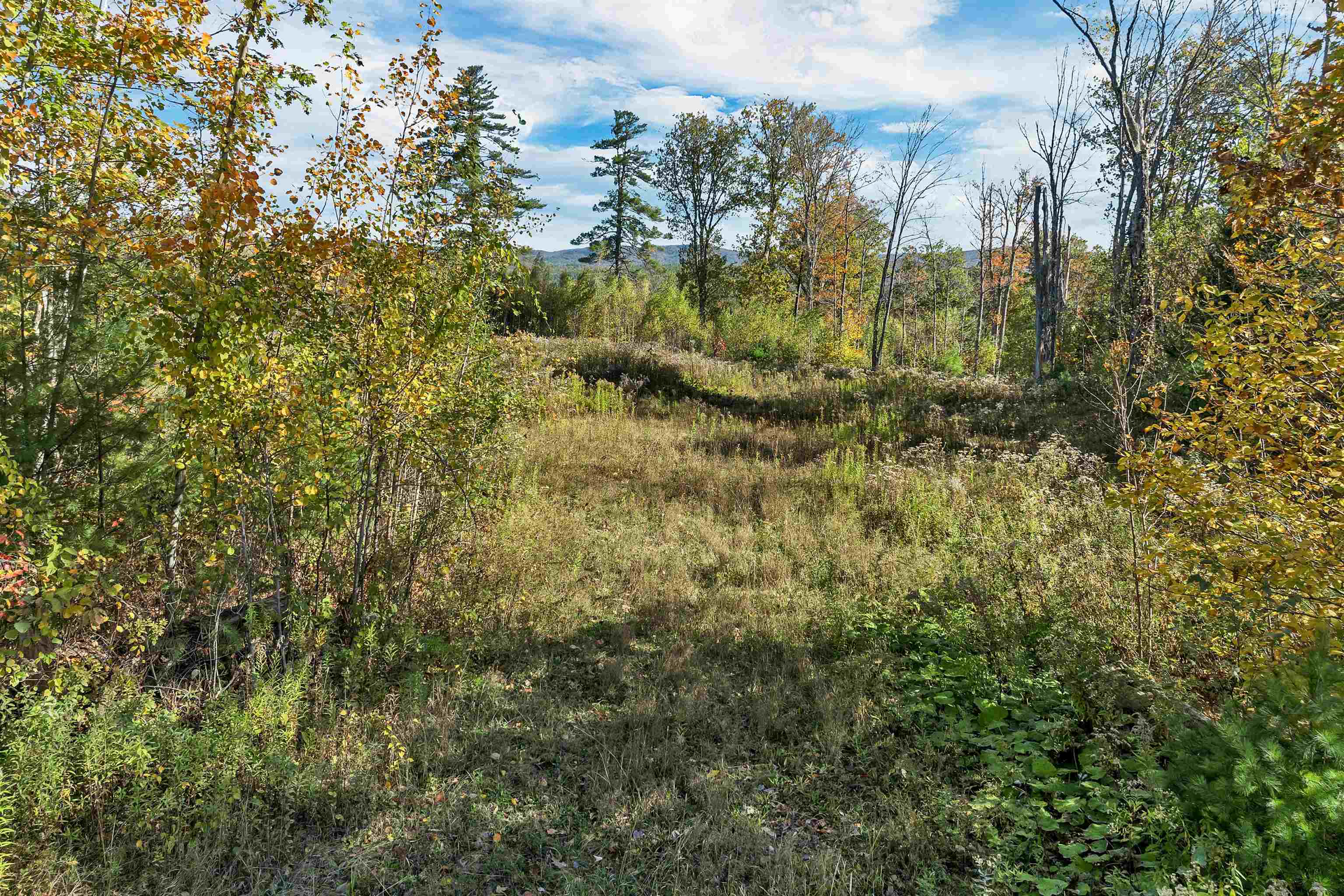 MLS #5065429 image #18