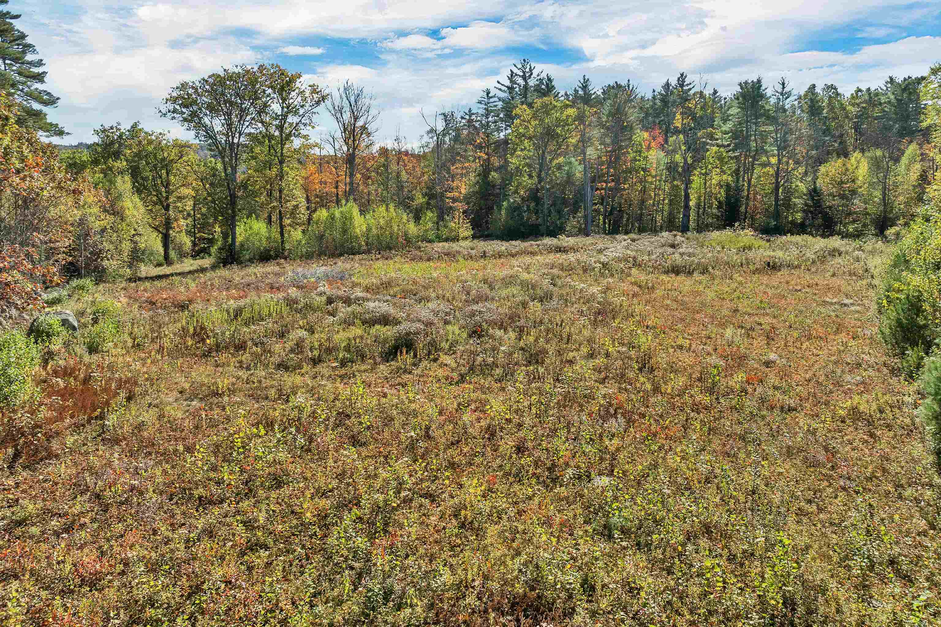 MLS #5065429 image #7