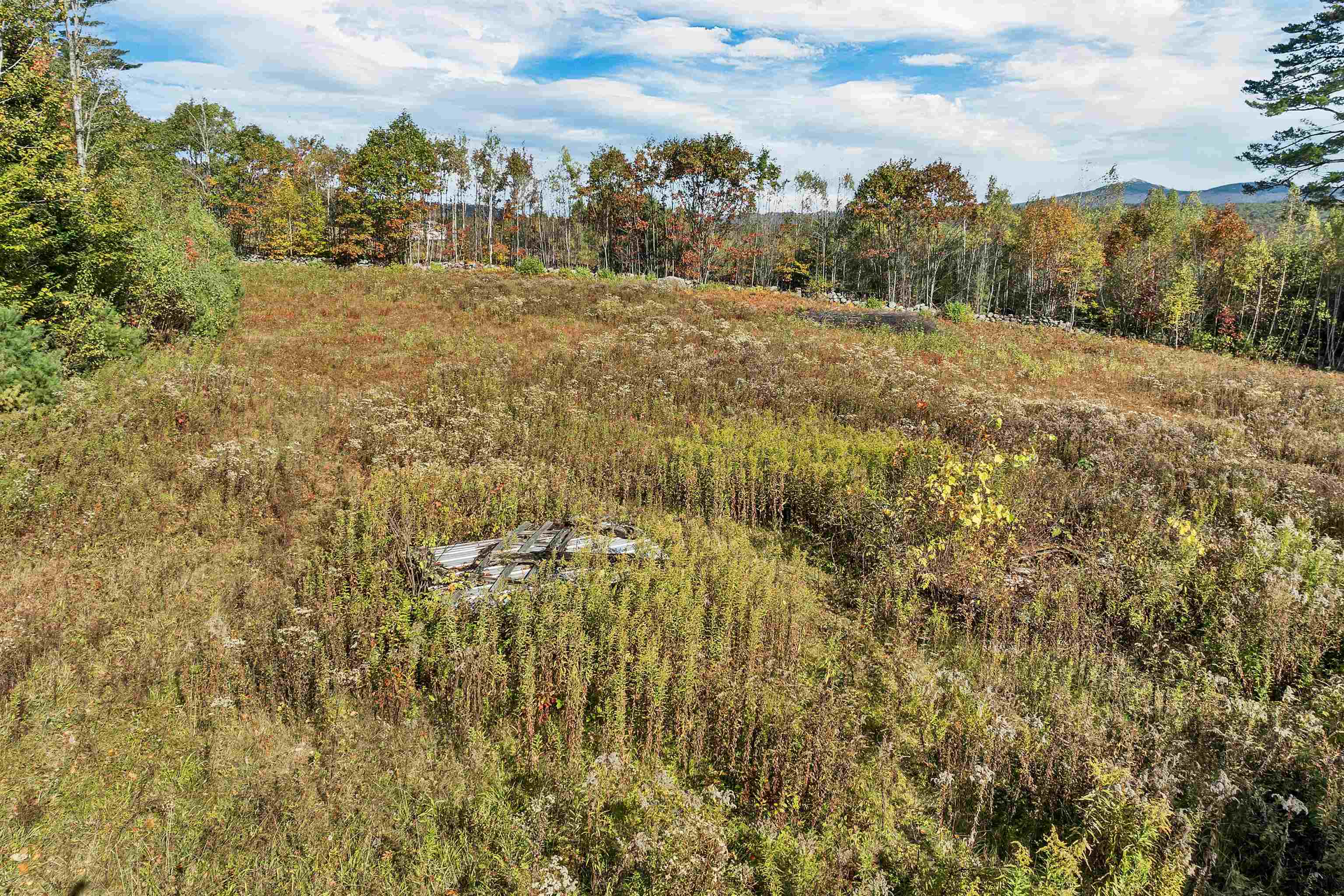 MLS #5065429 image #8