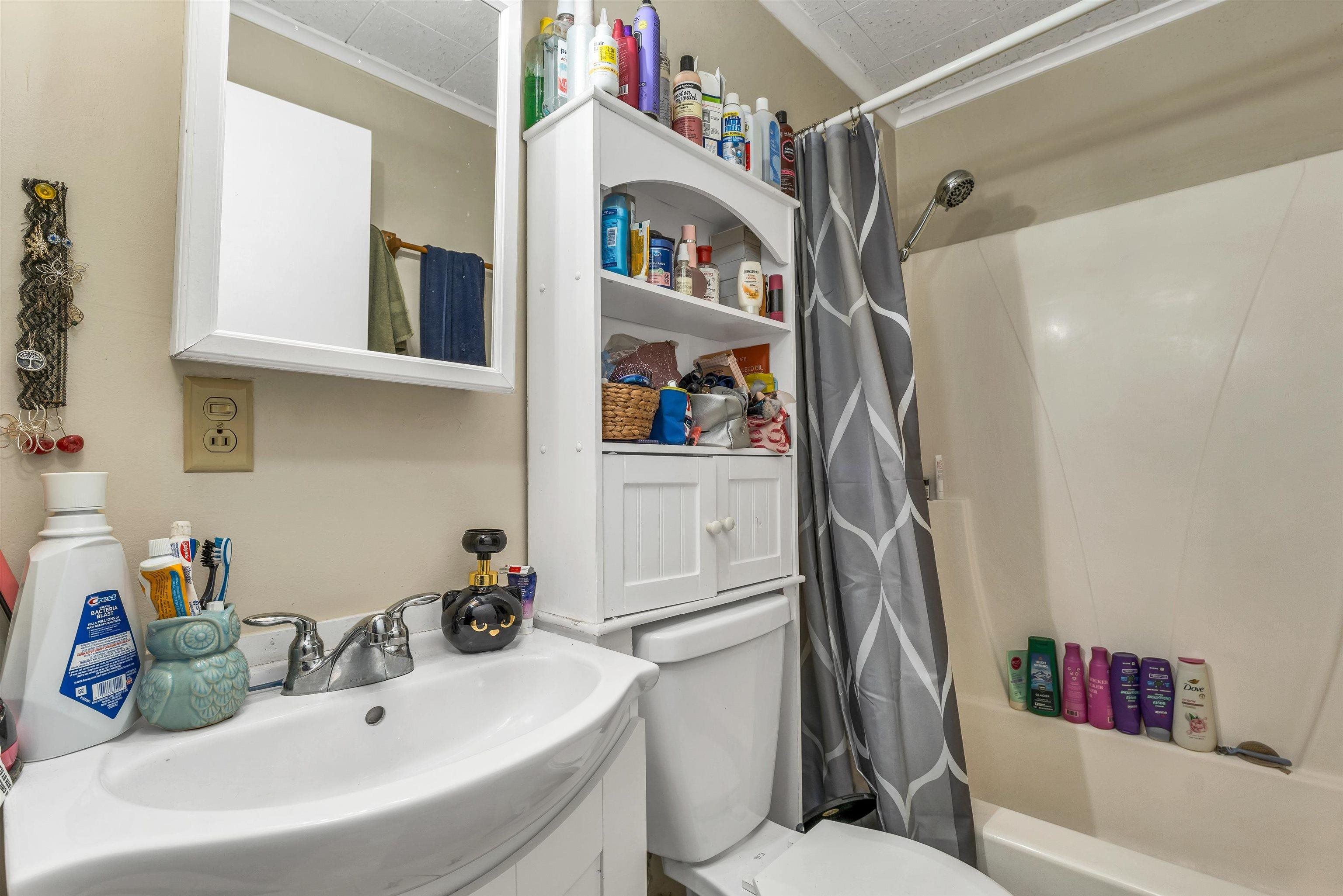 MLS #5065857 image #44