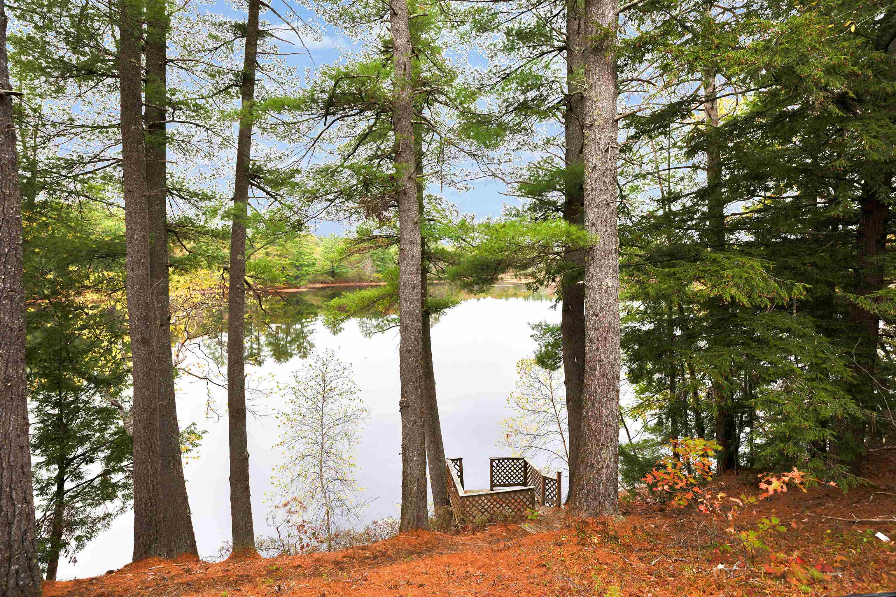 MLS #5066115 image #45