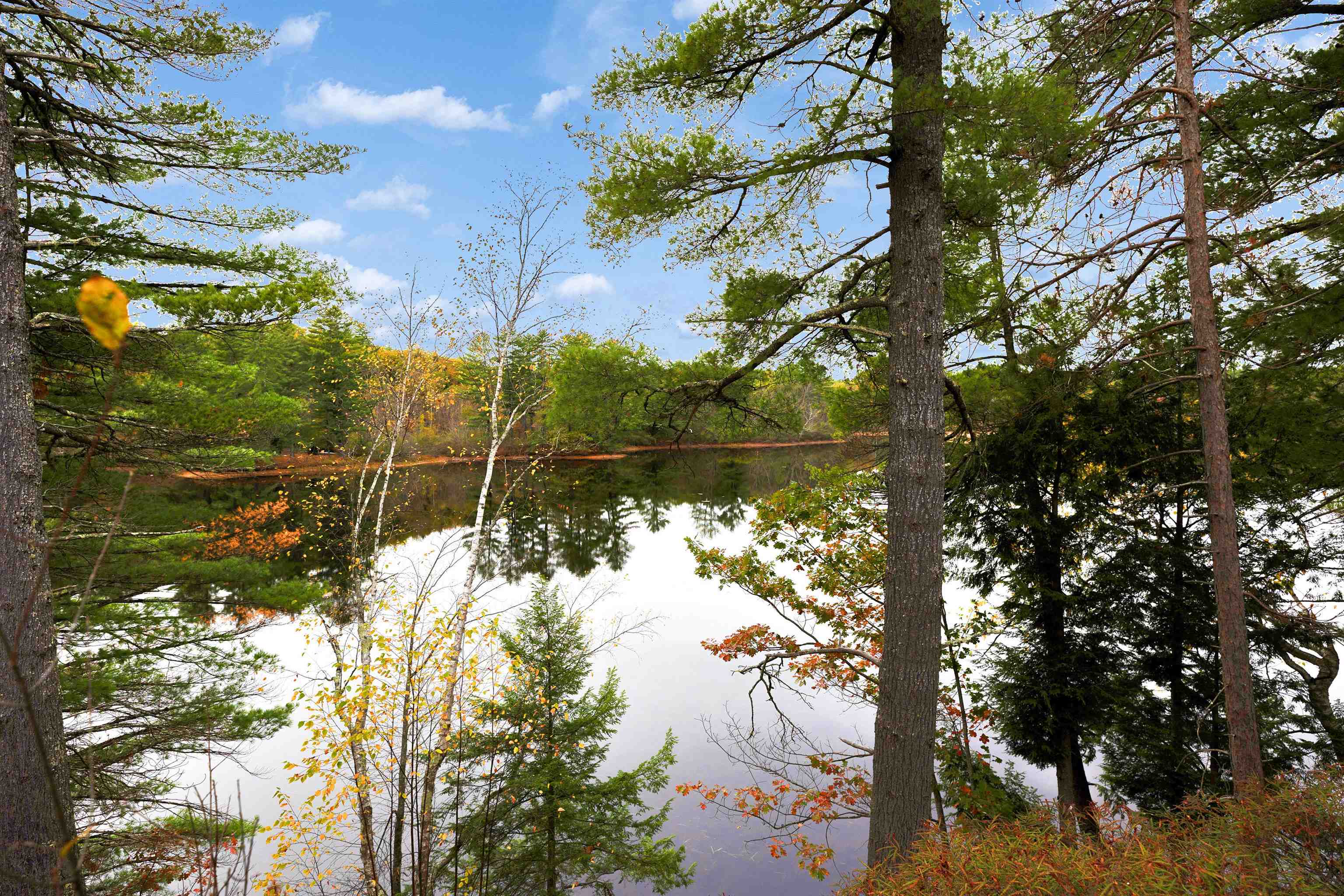 MLS #5066115 image #47