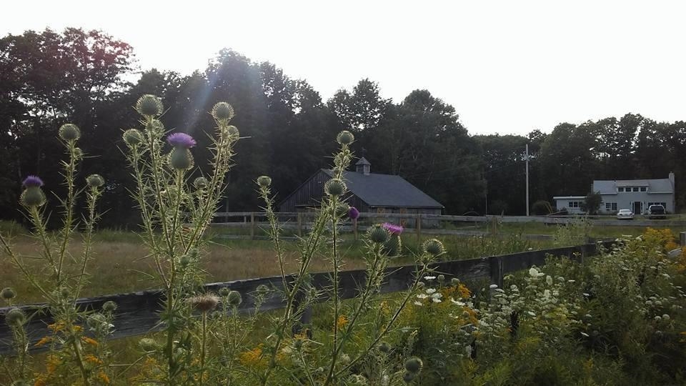 MLS #5066186 image #2