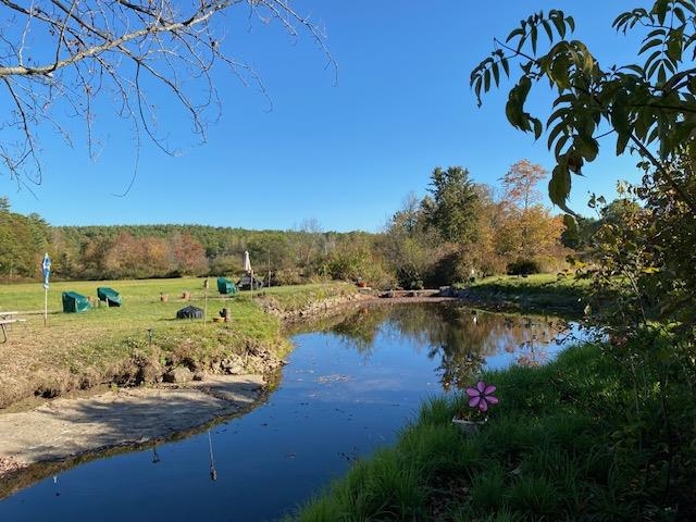 The swimming Hole