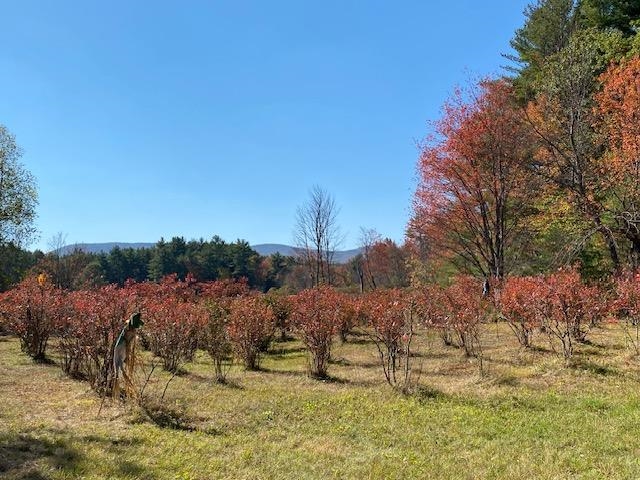Next to the house