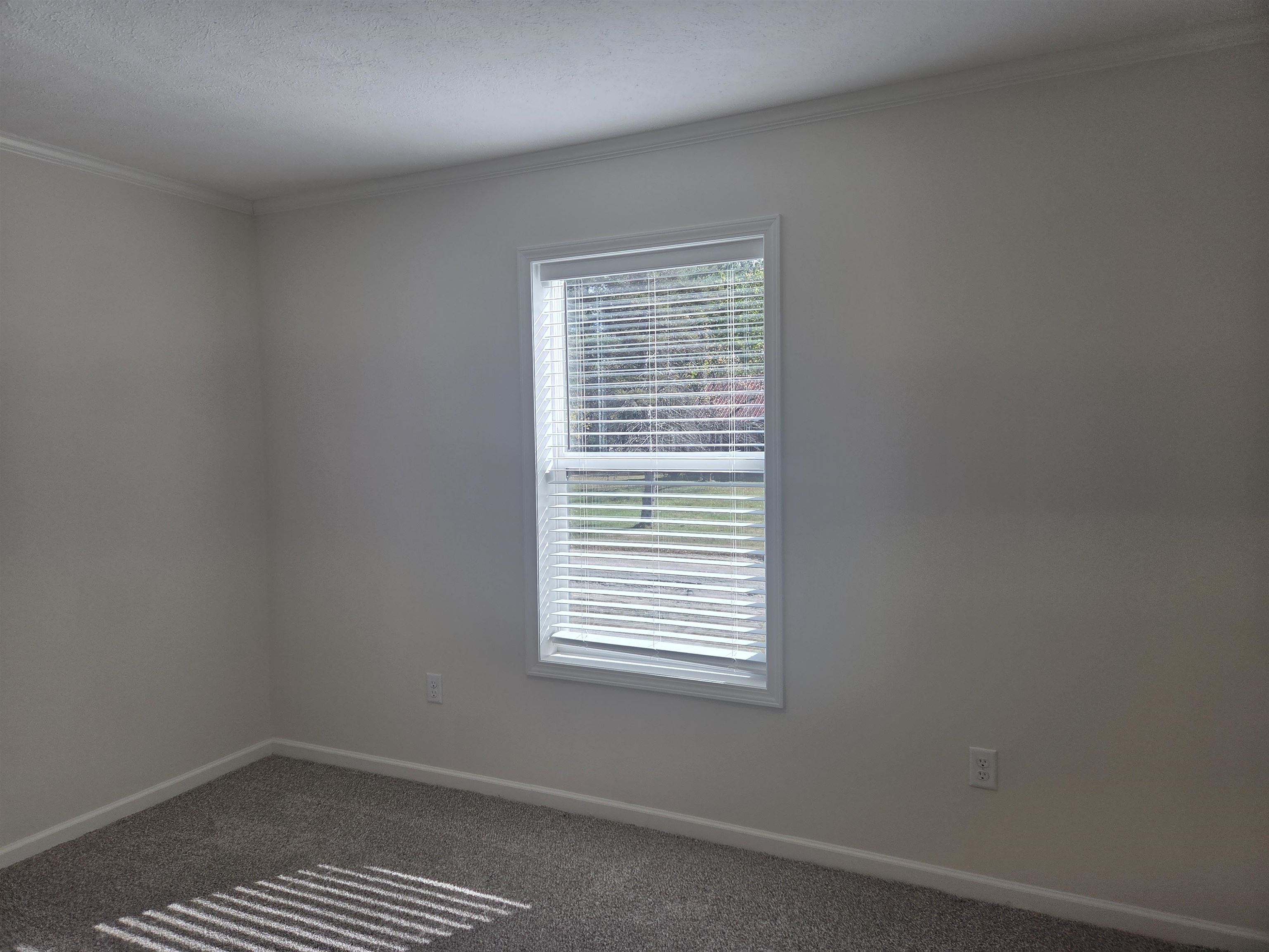 MLS #5066287 image #15