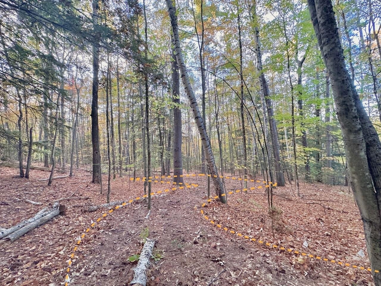 MLS #5066320 image #2