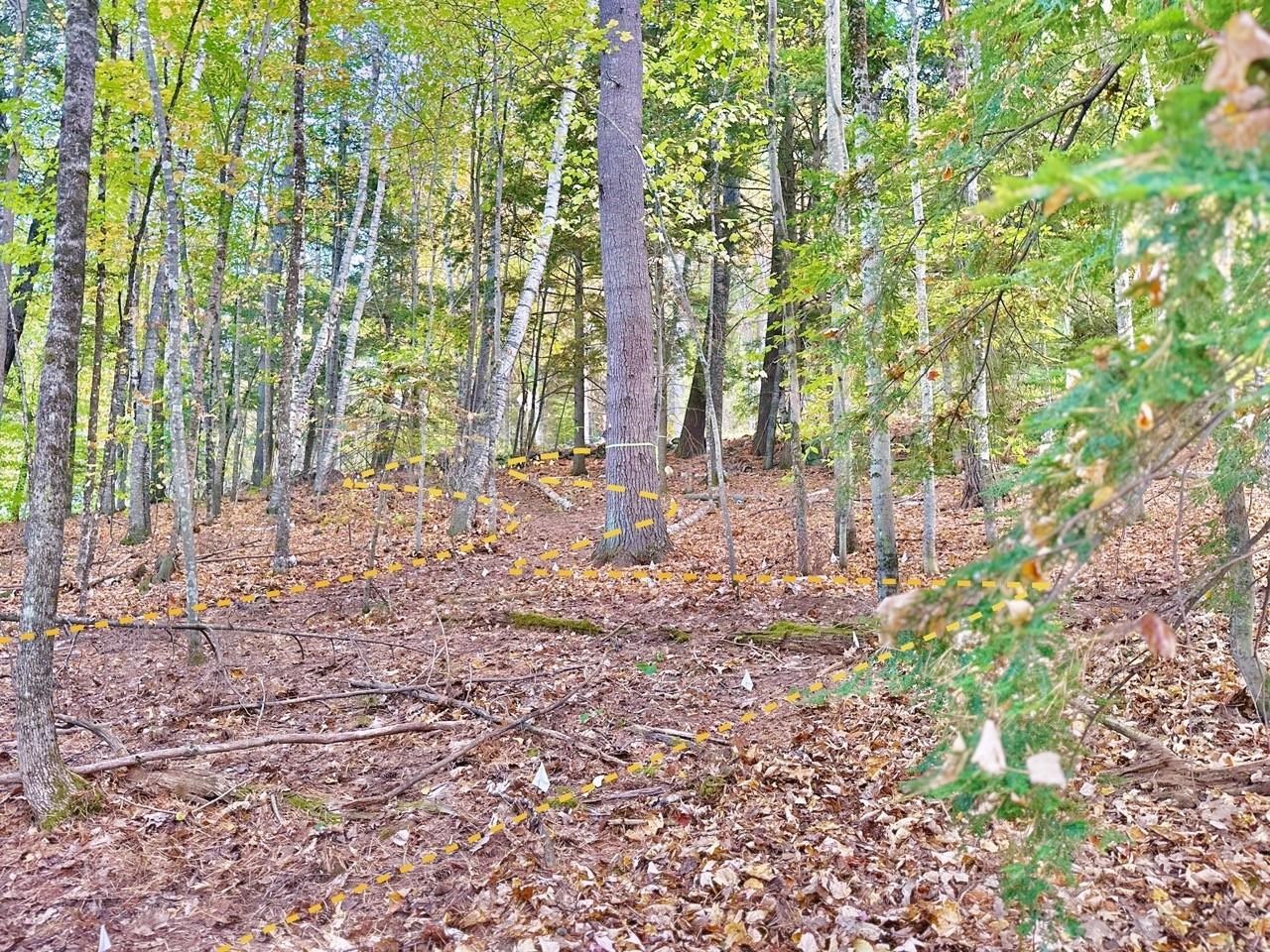 MLS #5066320 image #3