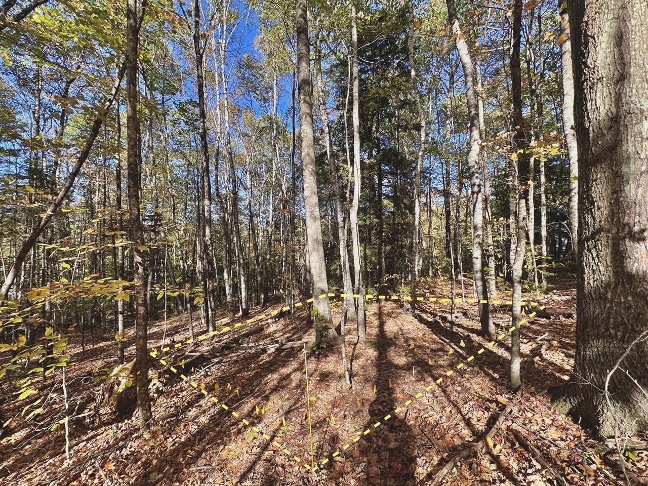 MLS #5066320 image #4