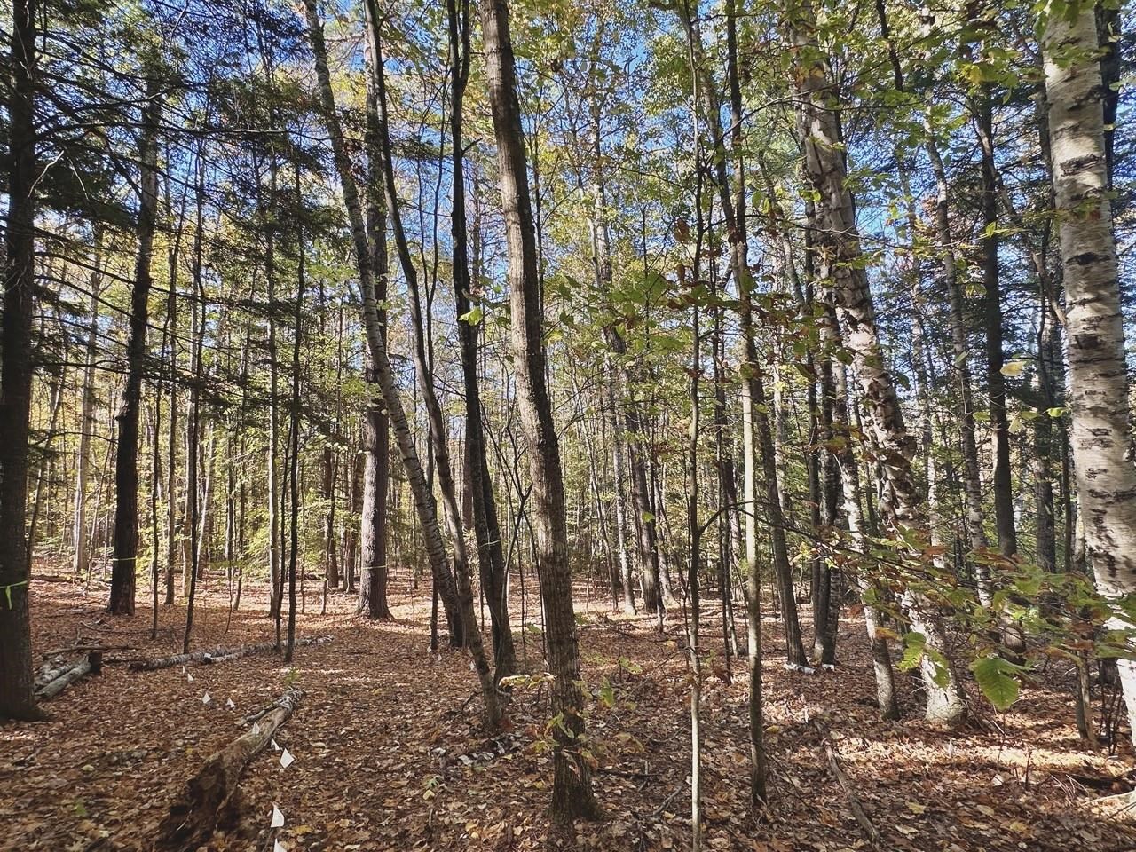 MLS #5066320 image #6