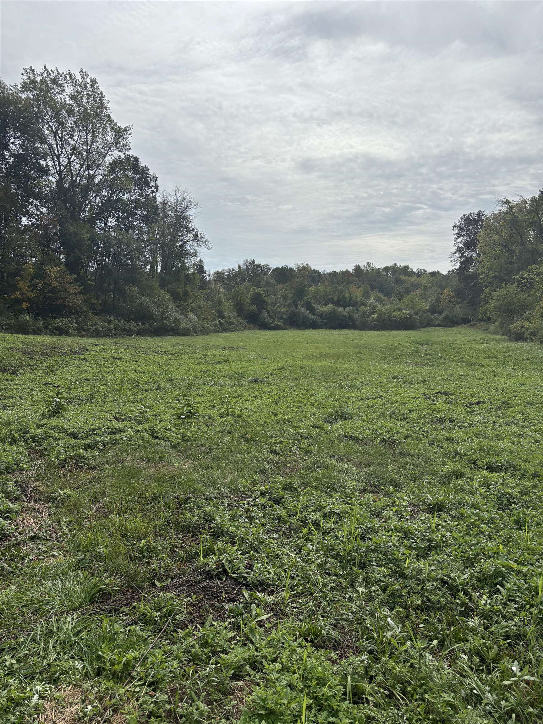 MLS #5066402 image #19