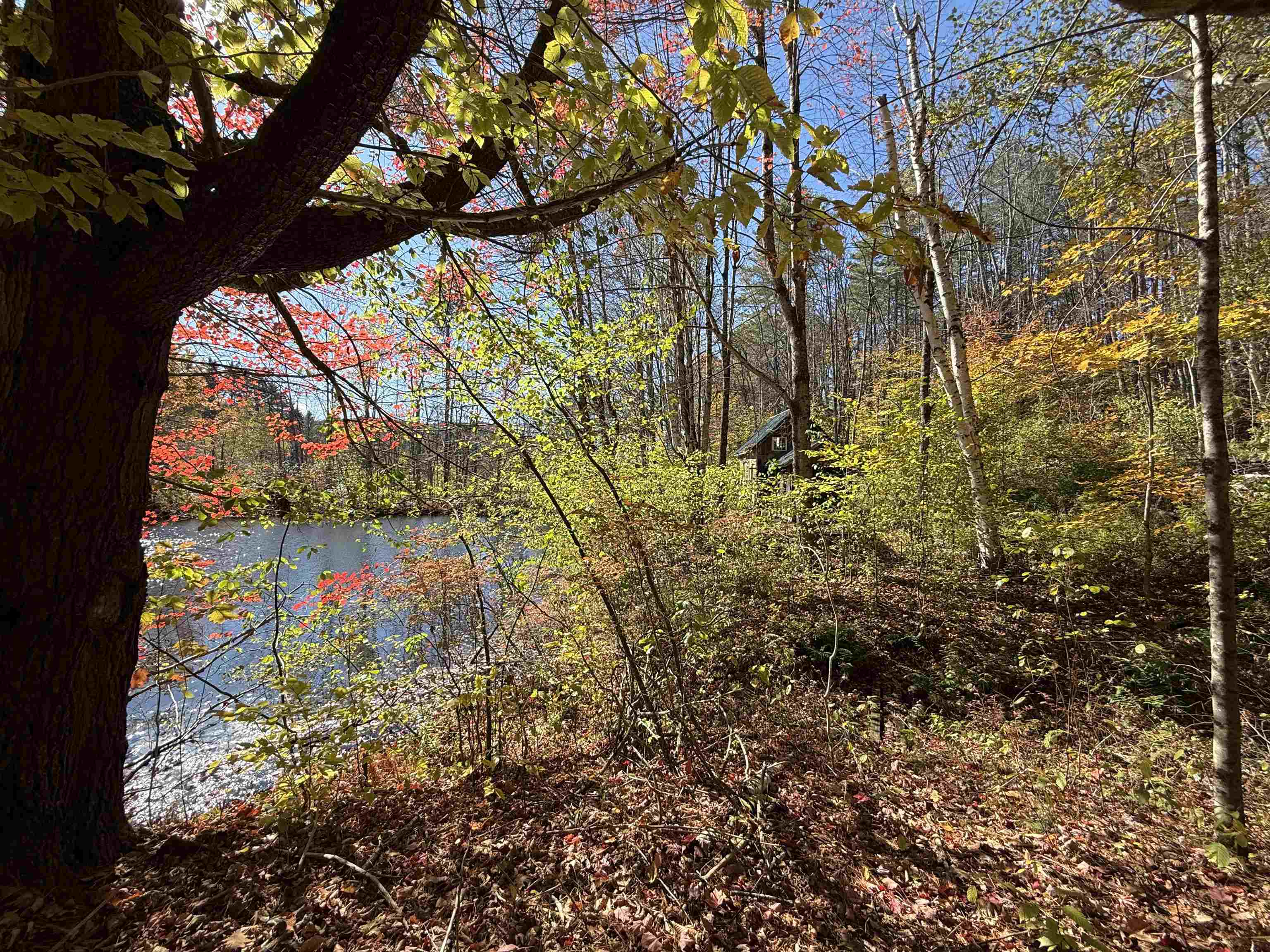 MLS #5066814 image #16