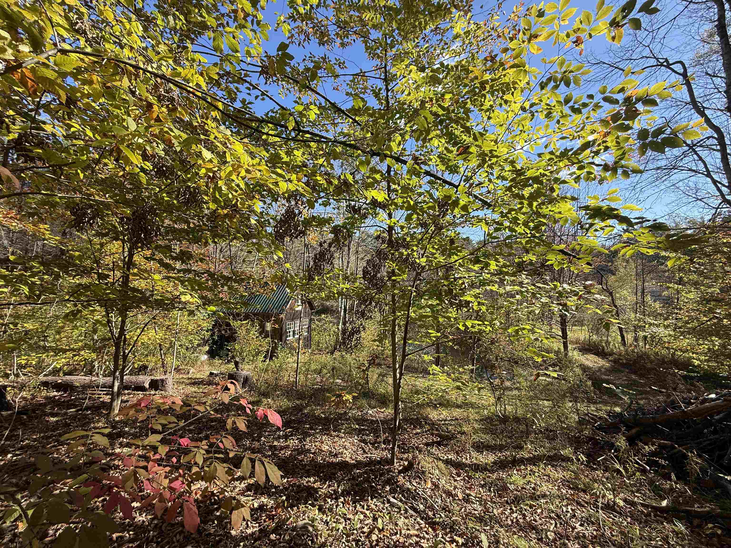 MLS #5066814 image #26