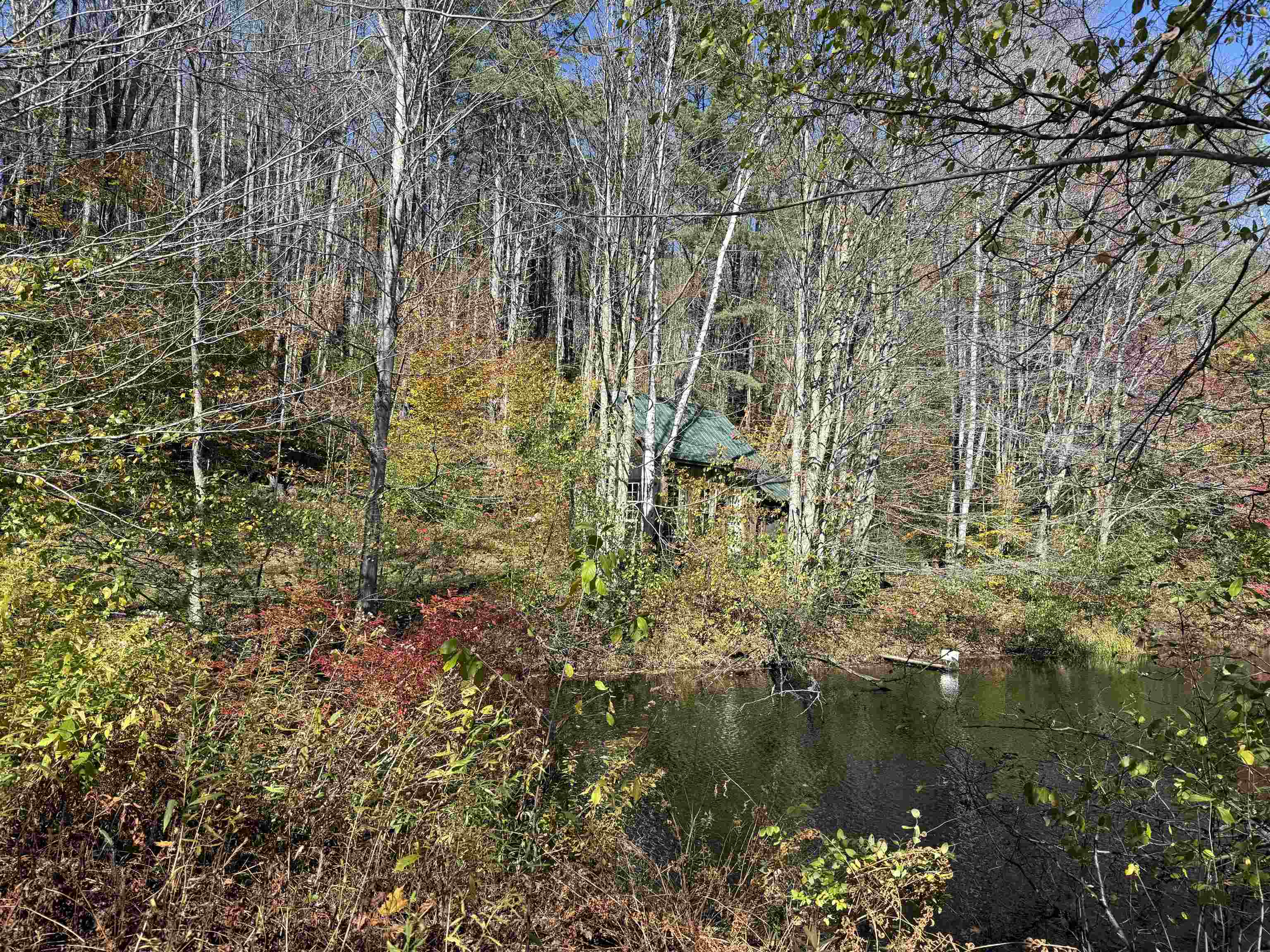 MLS #5066814 image #27