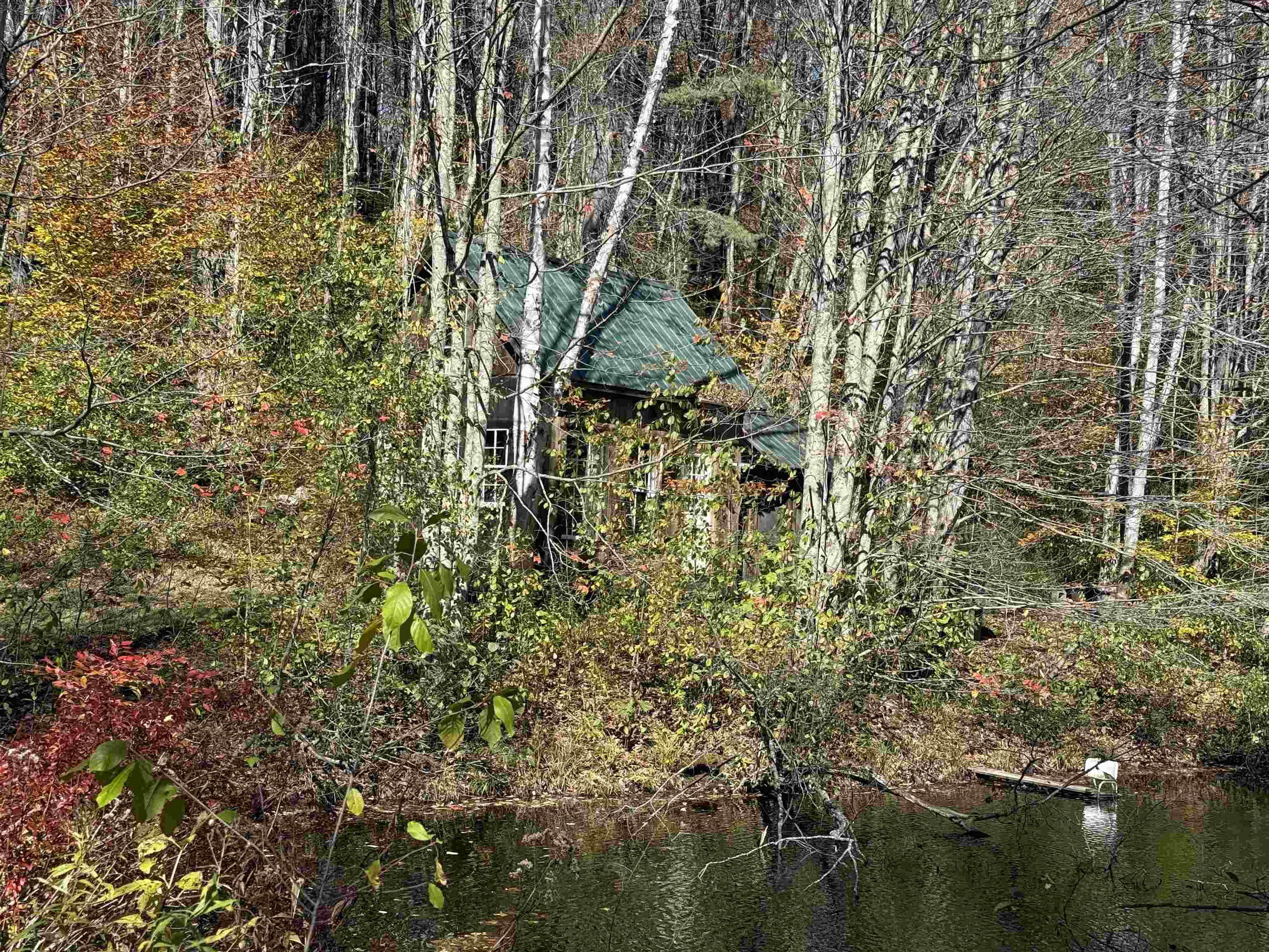 MLS #5066814 image #8