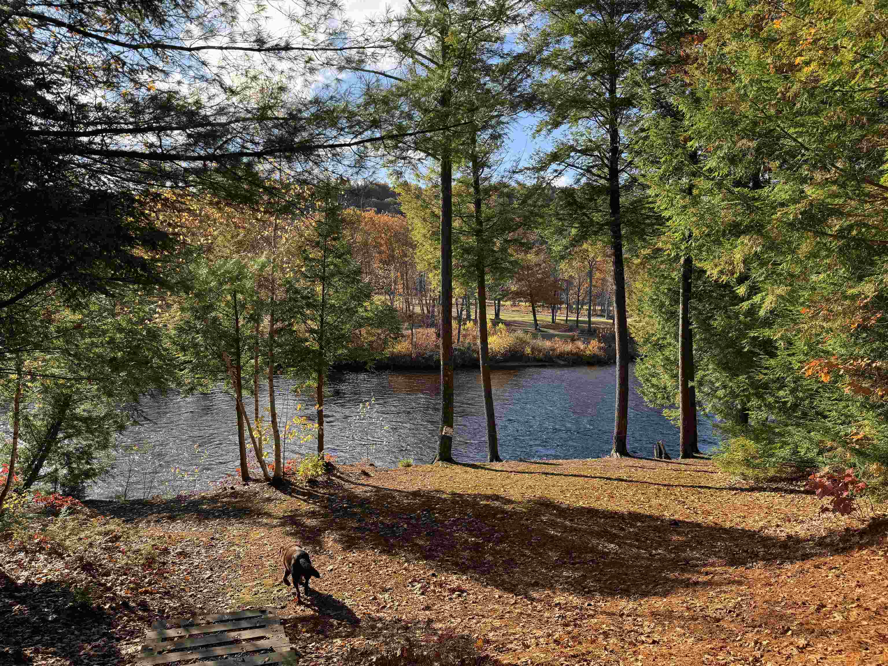 MLS #5066839 image #43