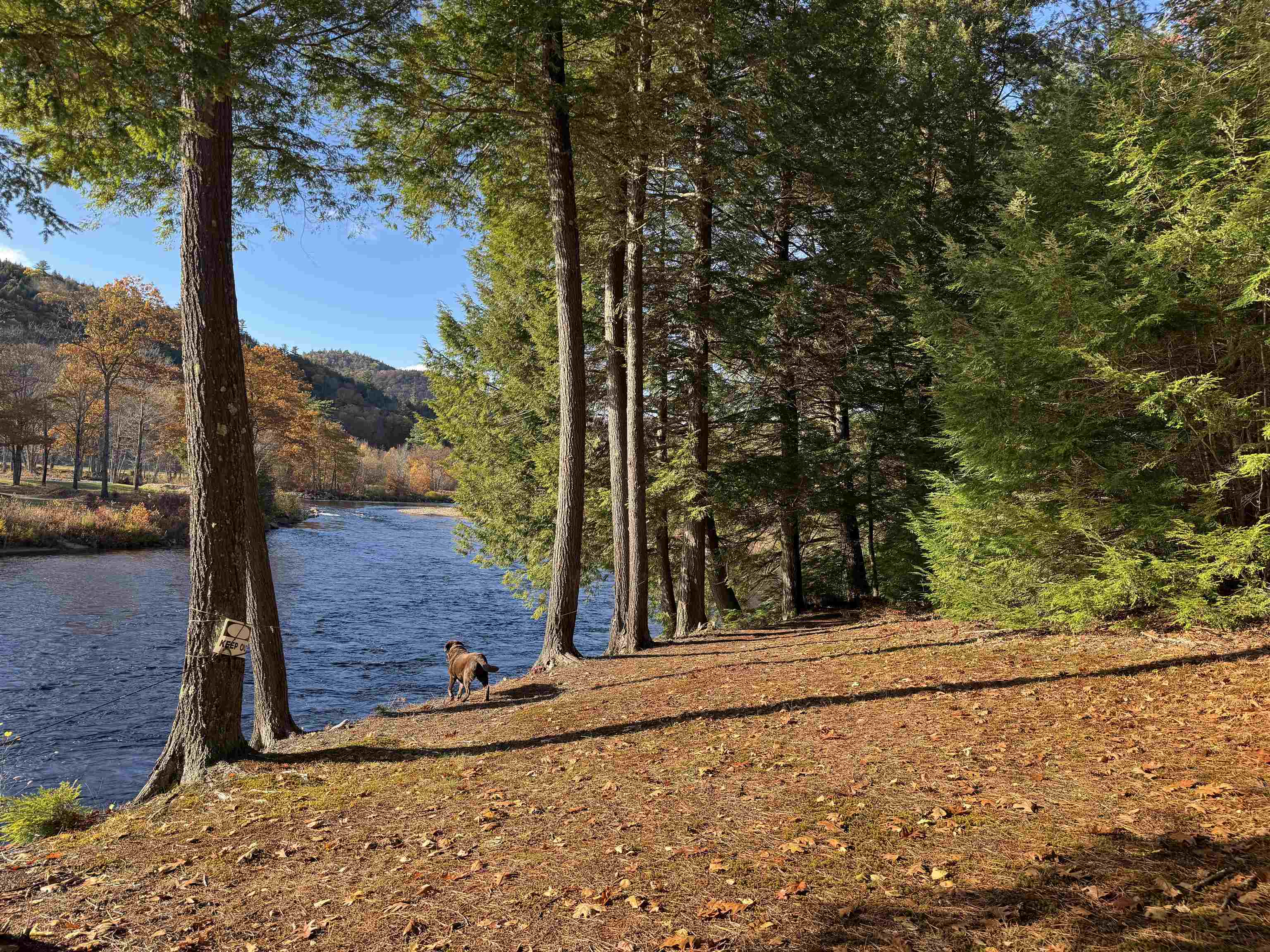 MLS #5066839 image #44