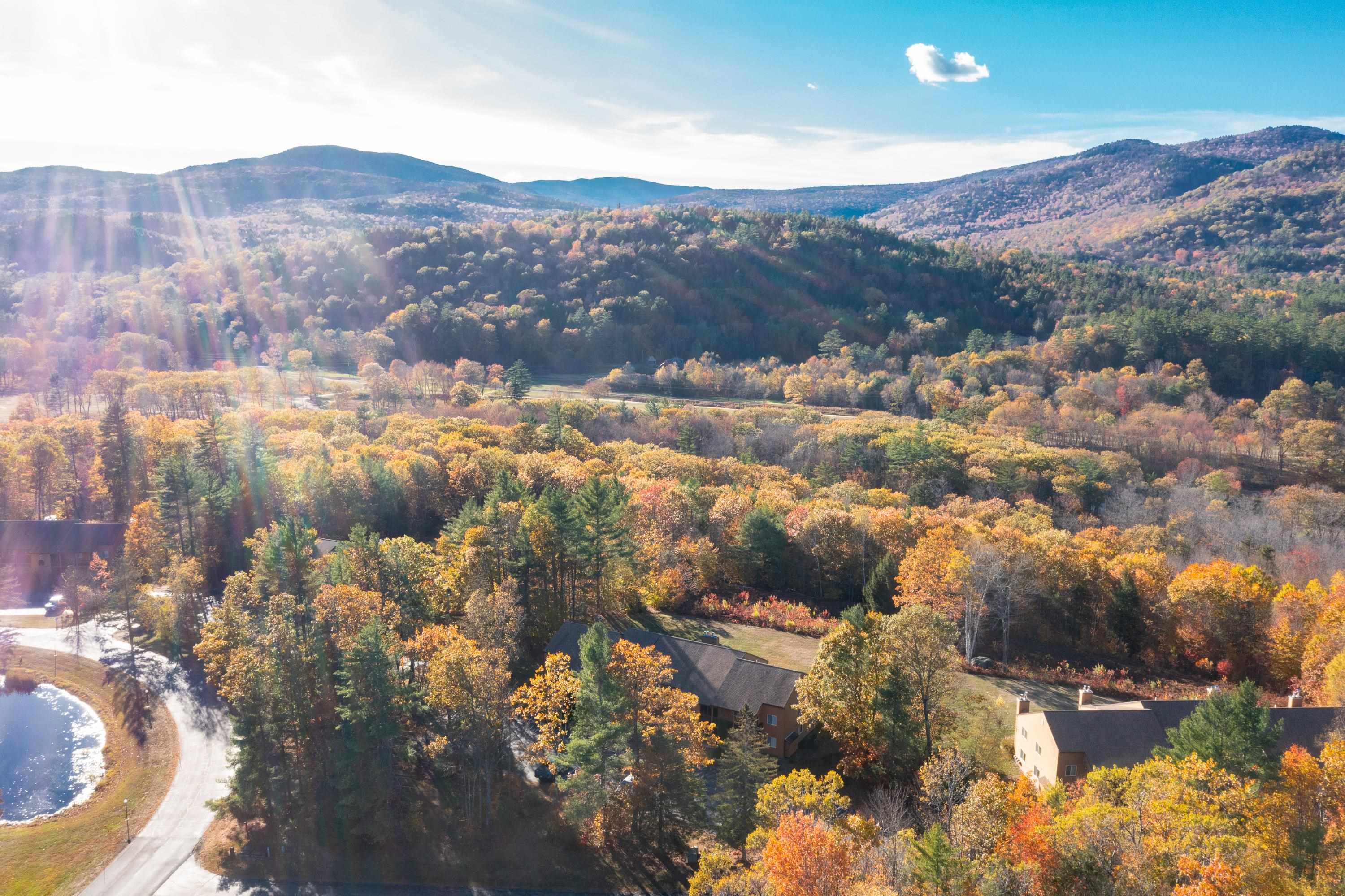 MLS #5066839 image #46